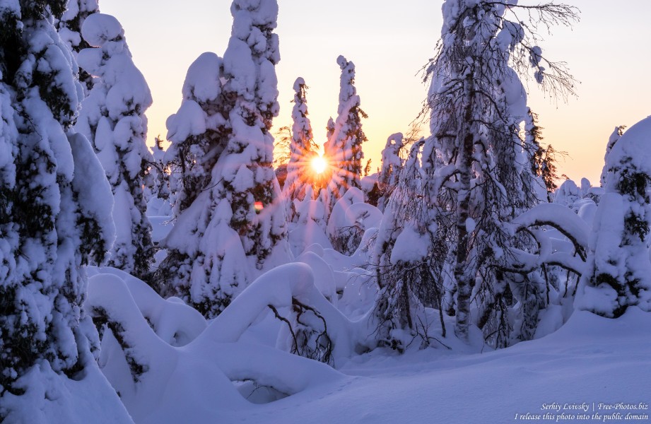 Valtavaara, Finland, photographed in January 2020 by Serhiy Lvivsky, picture 16