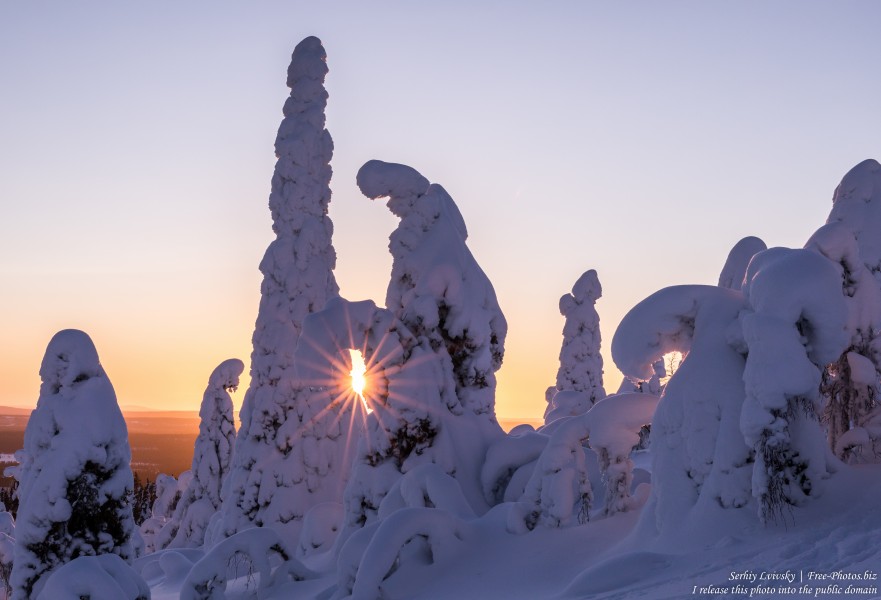 Valtavaara, Finland, photographed in January 2020 by Serhiy Lvivsky, picture 30