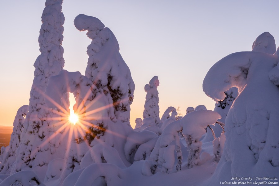 Valtavaara, Finland, photographed in January 2020 by Serhiy Lvivsky, picture 32