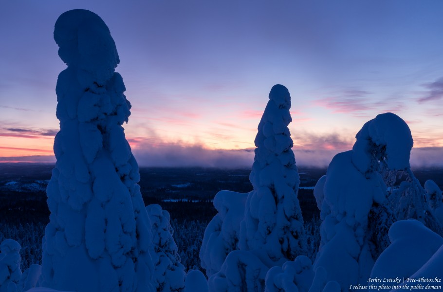 Valtavaara, Finland, photographed in January 2020 by Serhiy Lvivsky, picture 46