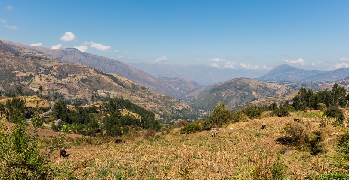 Vista de los Andes, Limatambo, Cuzco, Perú, 2015-07-30, DD 77