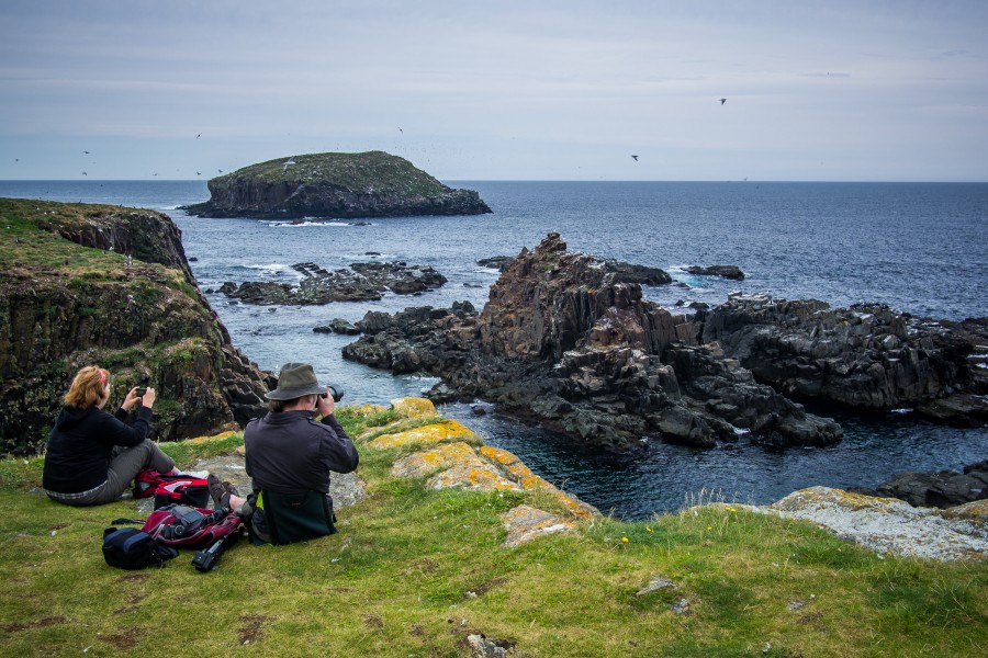 Watching for puffins (7725180060)