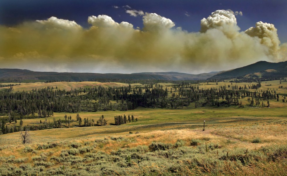 Wildfire in Yellowstone Natinal Park produces Pyrocumulus clouds-edit1