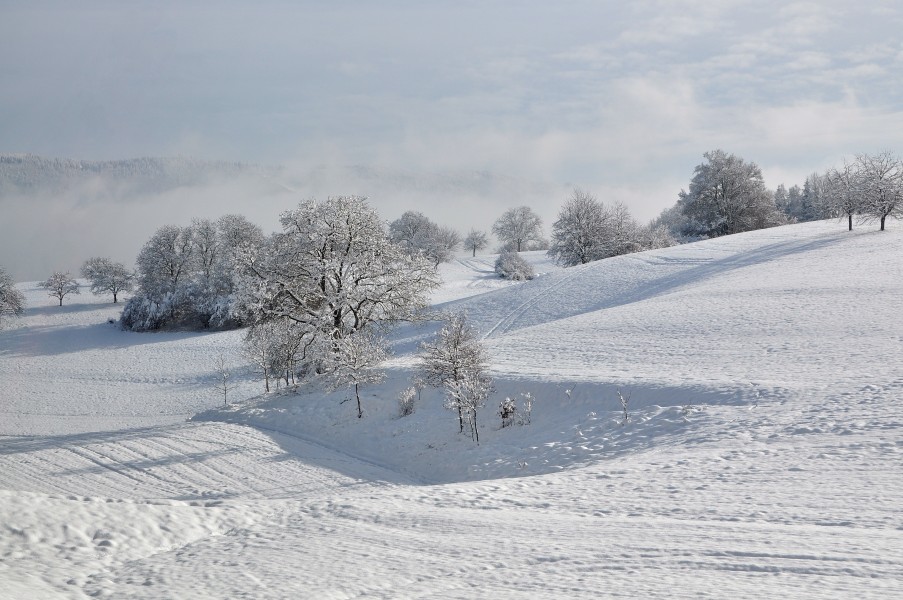 Winterlandschaft in der Nähe von Lörrach
