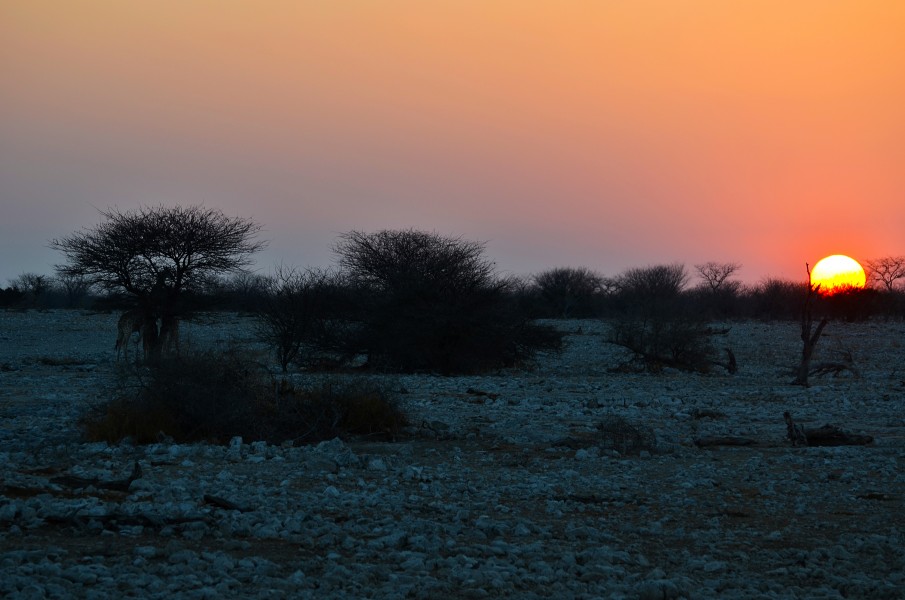 Západ slunce v Etosha NP - Namibie - panoramio