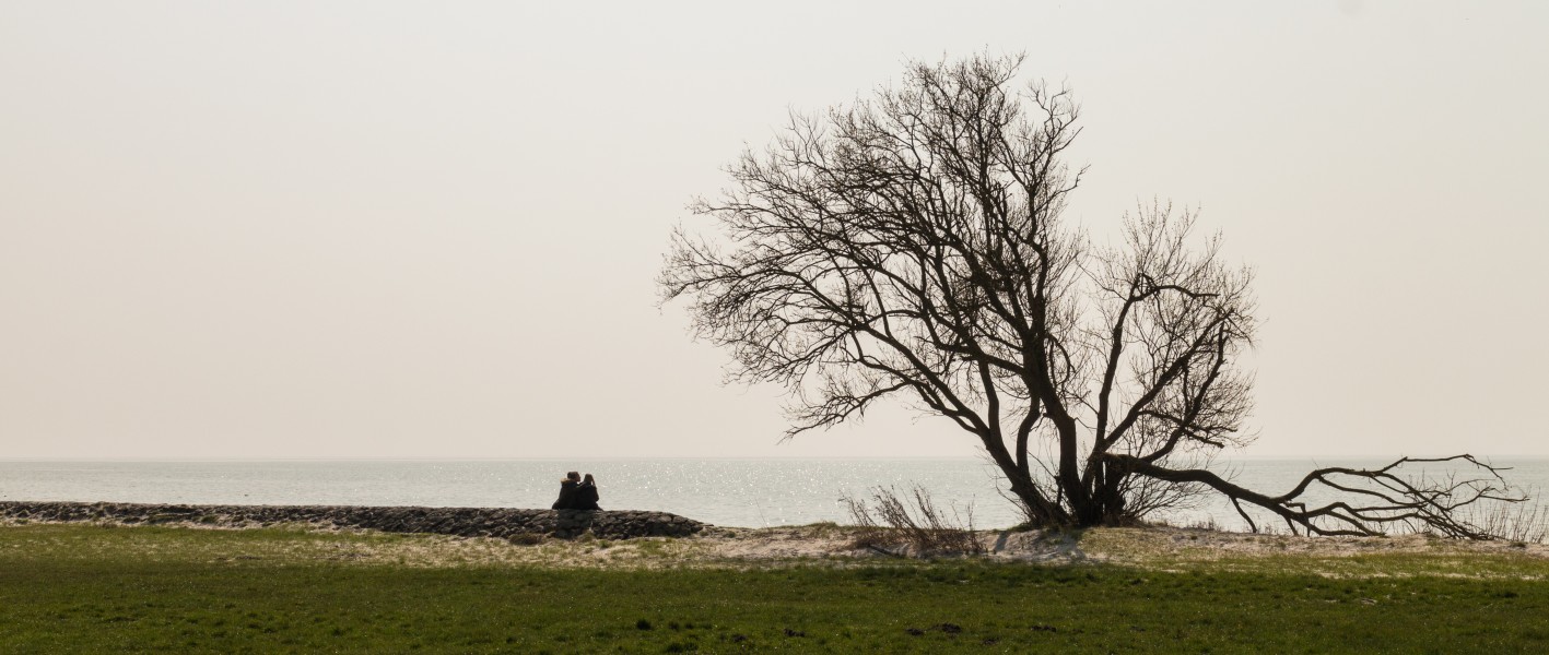 Zicht op het IJsselmeer. Locatie Mirnser Klif 03