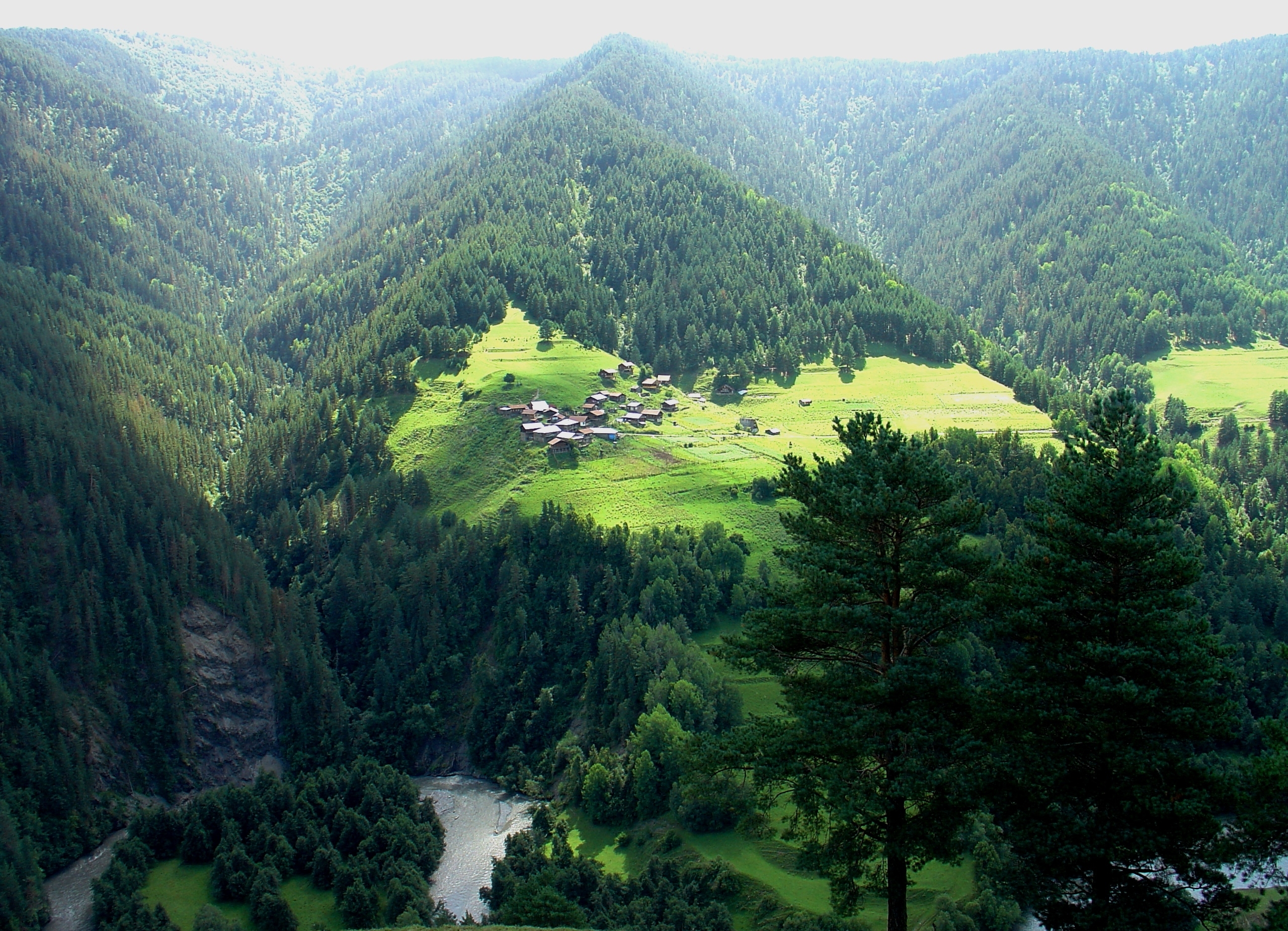 Qumelaurta