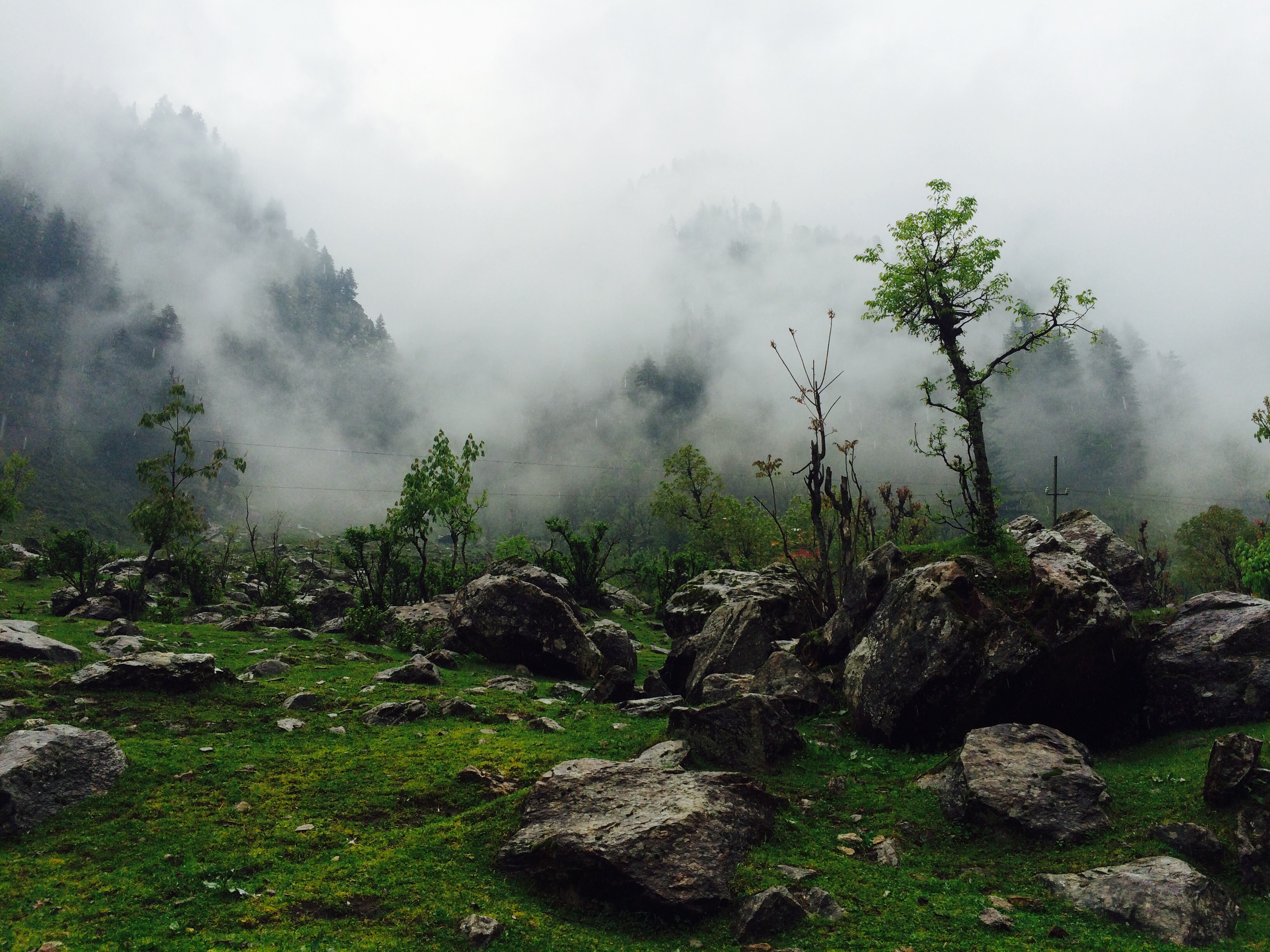 Road to Kashmir