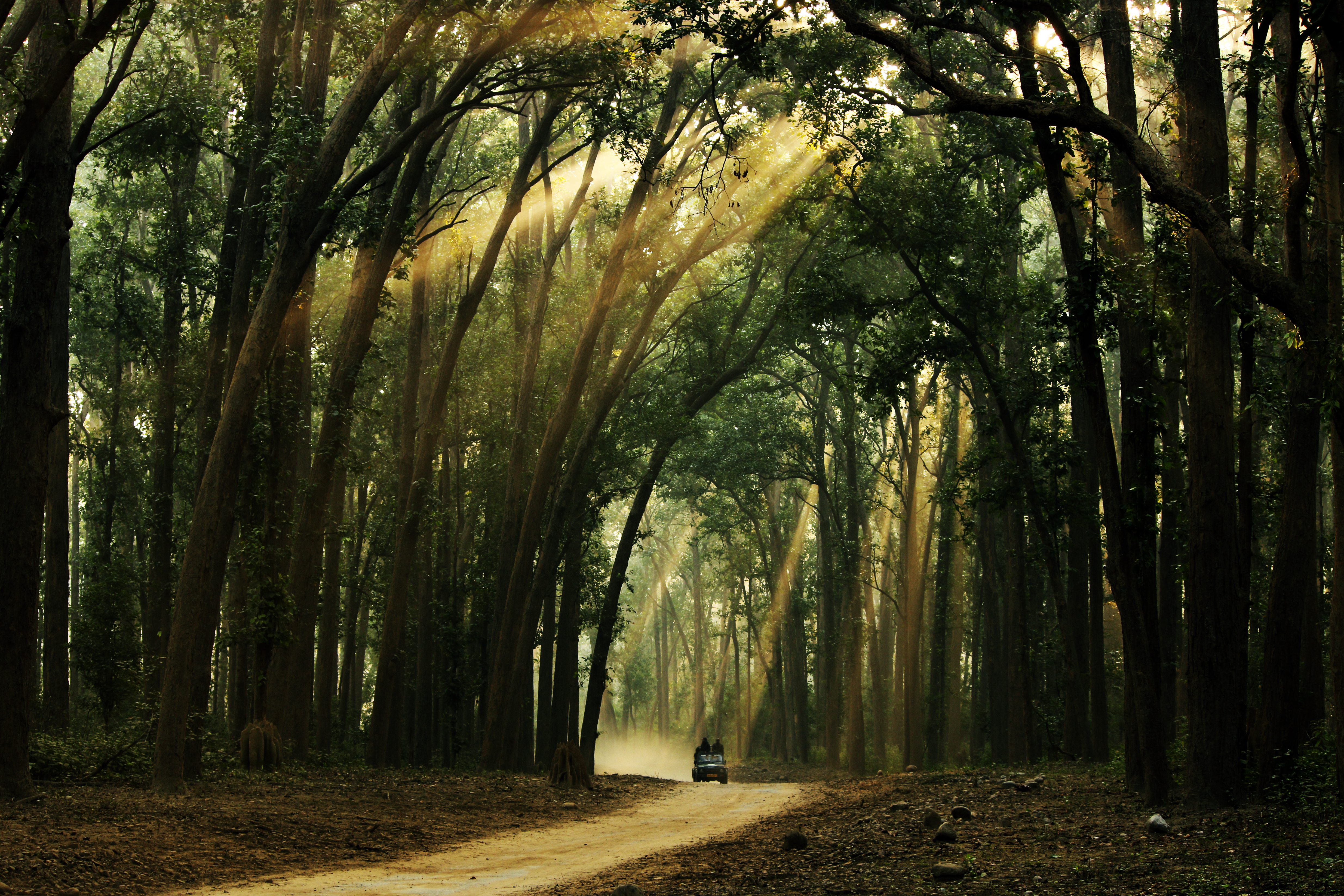 Roads of Corbett
