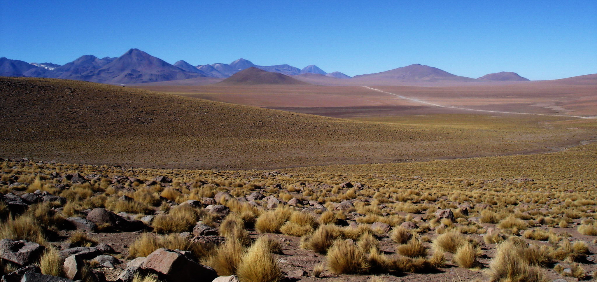 Romanceor Altiplano 1