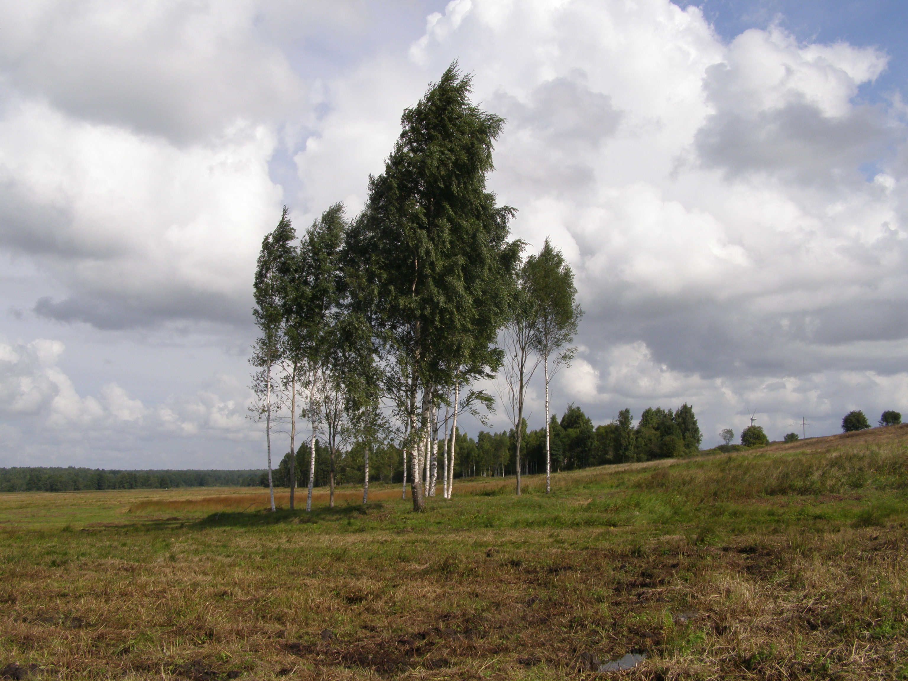Sūdėnų pilkapiai 2013