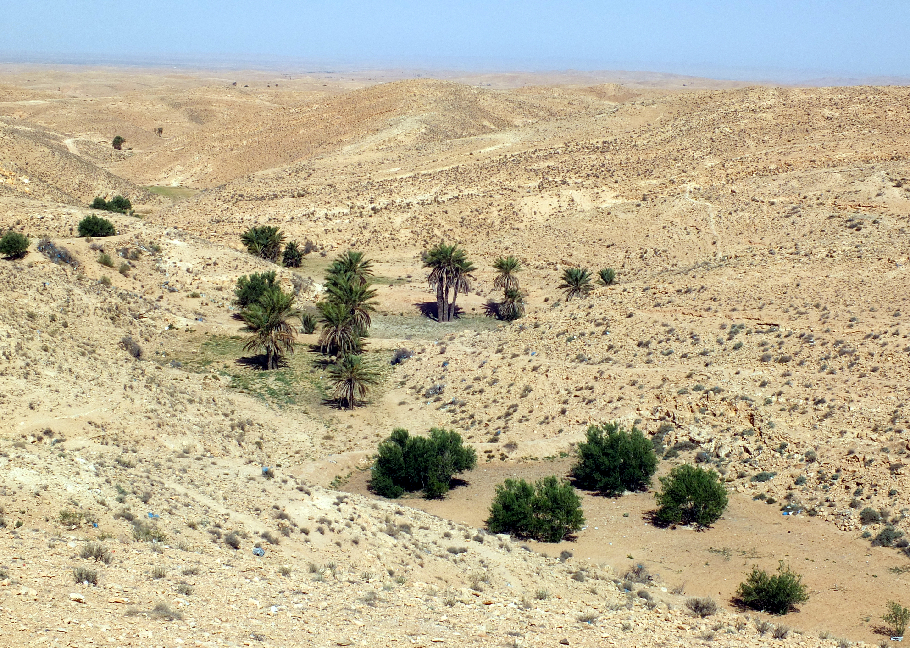 Sahara along C104 07