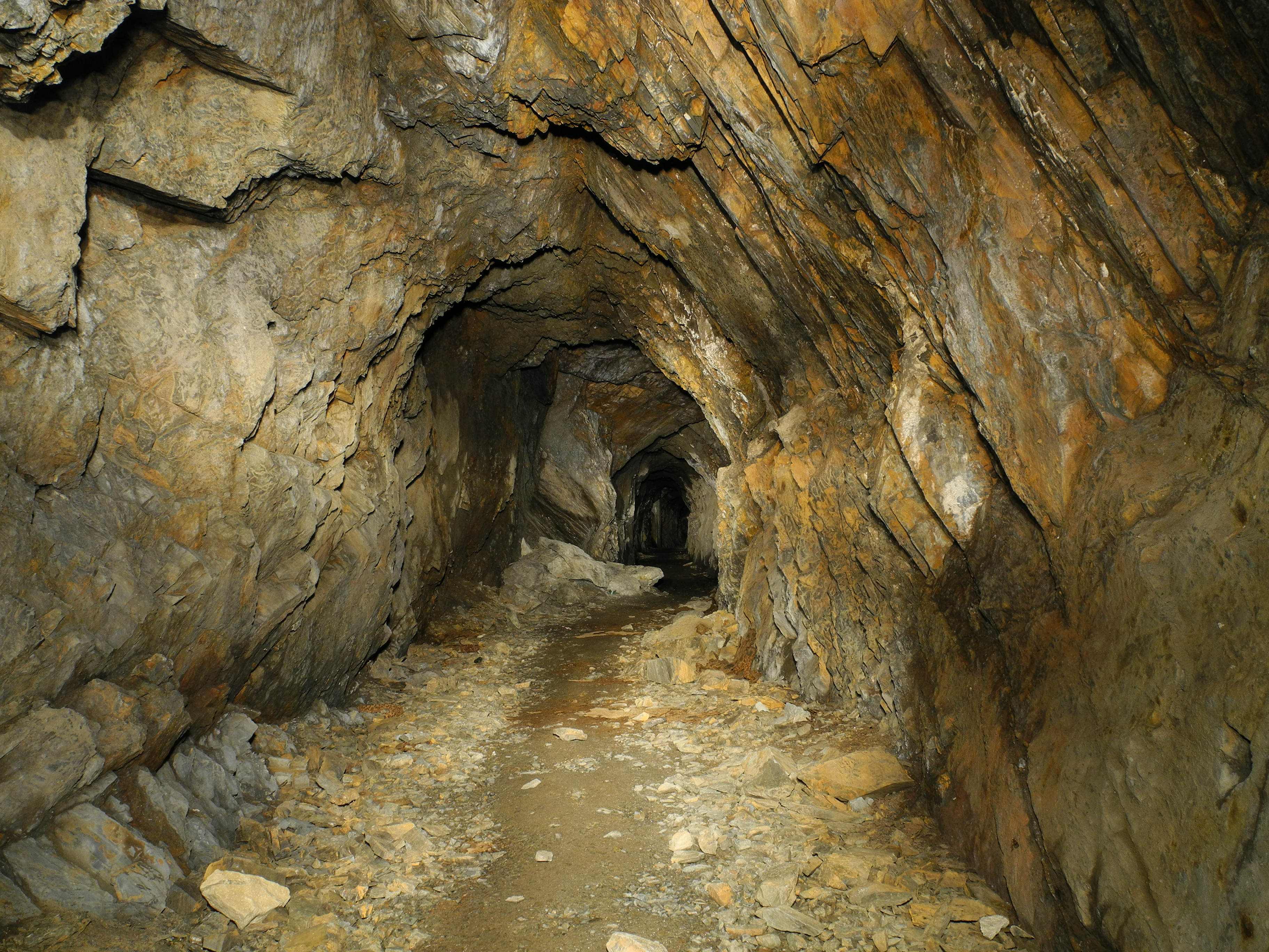 Salbert-5