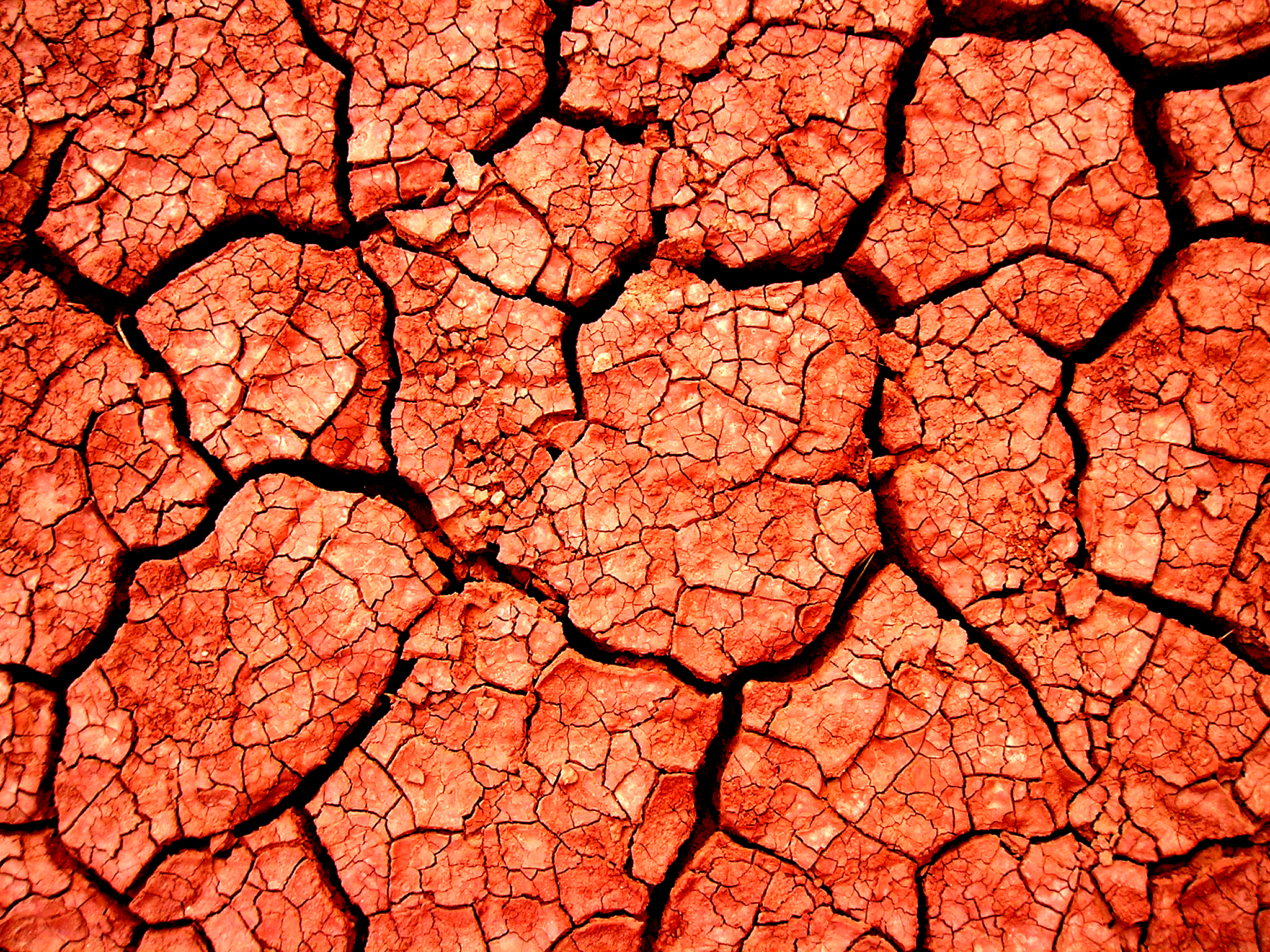 Salt Lake Iran