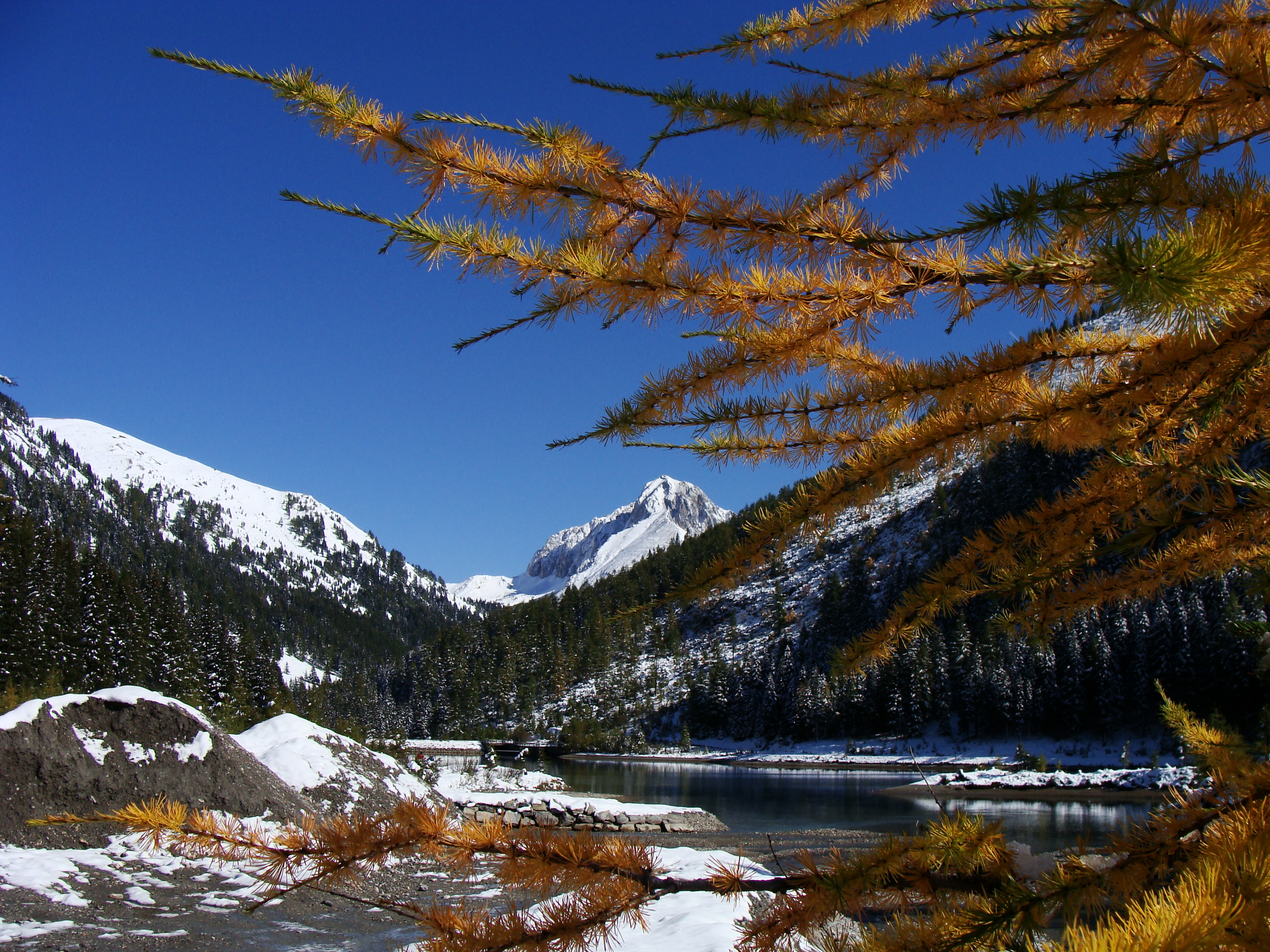Schlierersee 4697