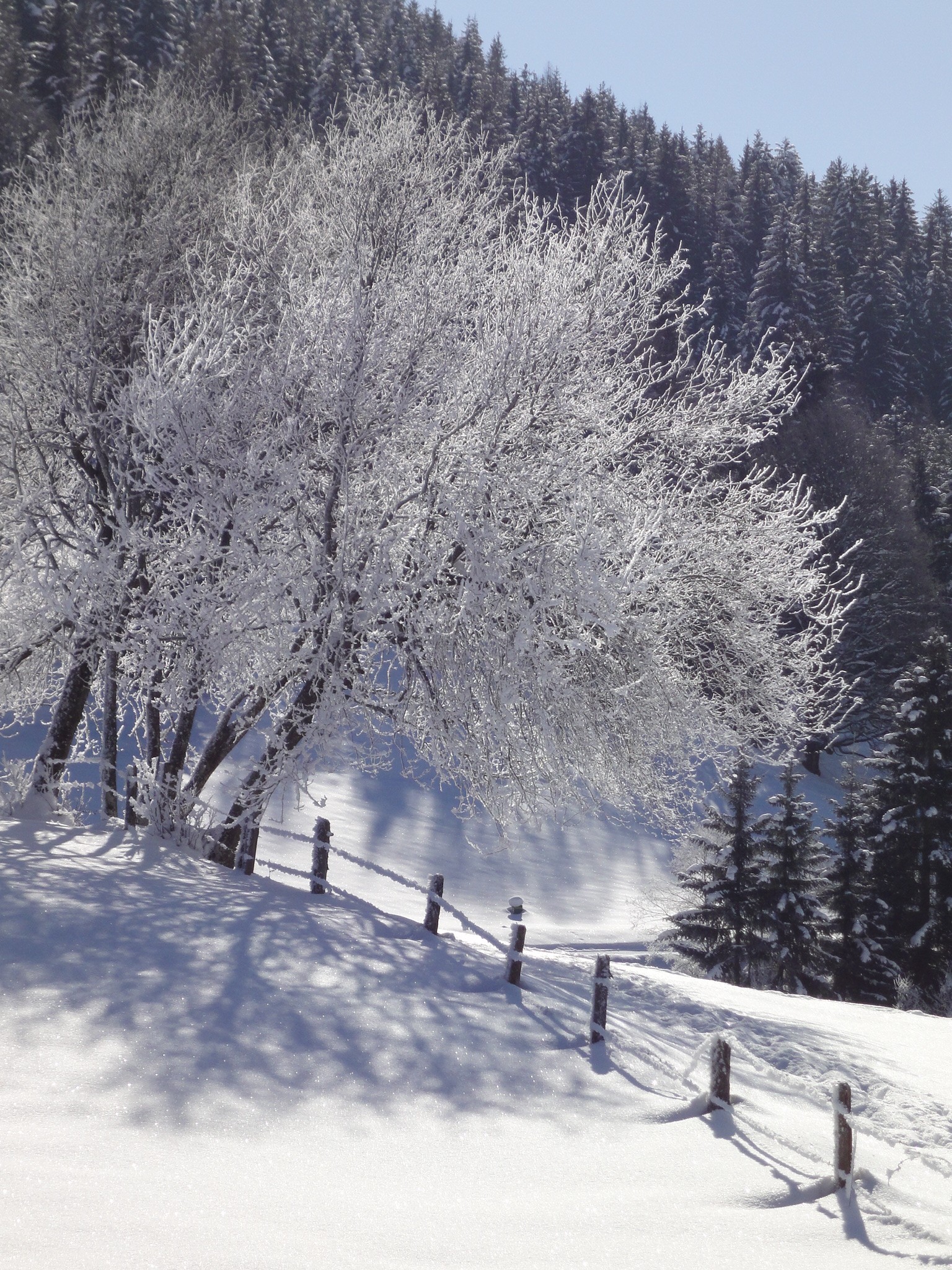 Schneekristalle 2