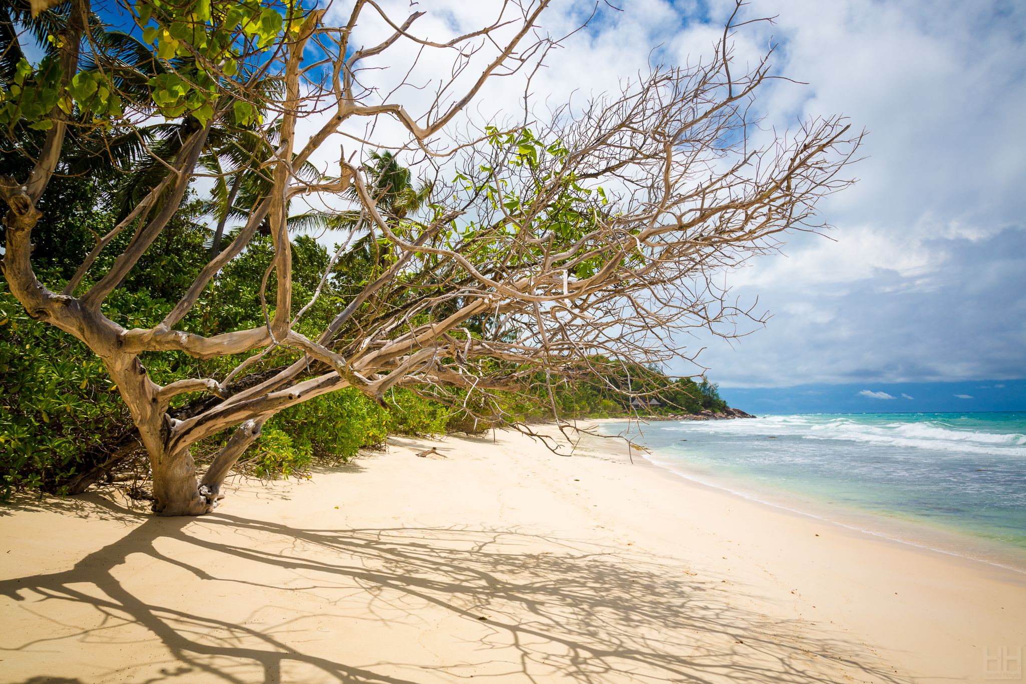 Seychelles Dreams 5 (8191990449)