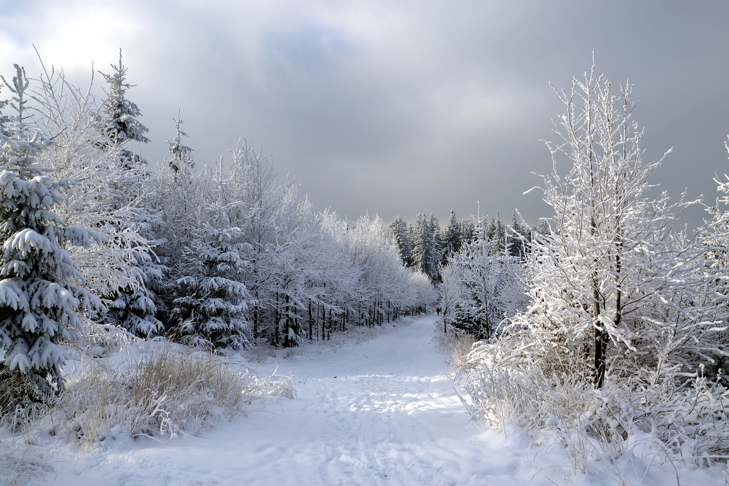 Silesian - Moravian Beskids in winter 2014