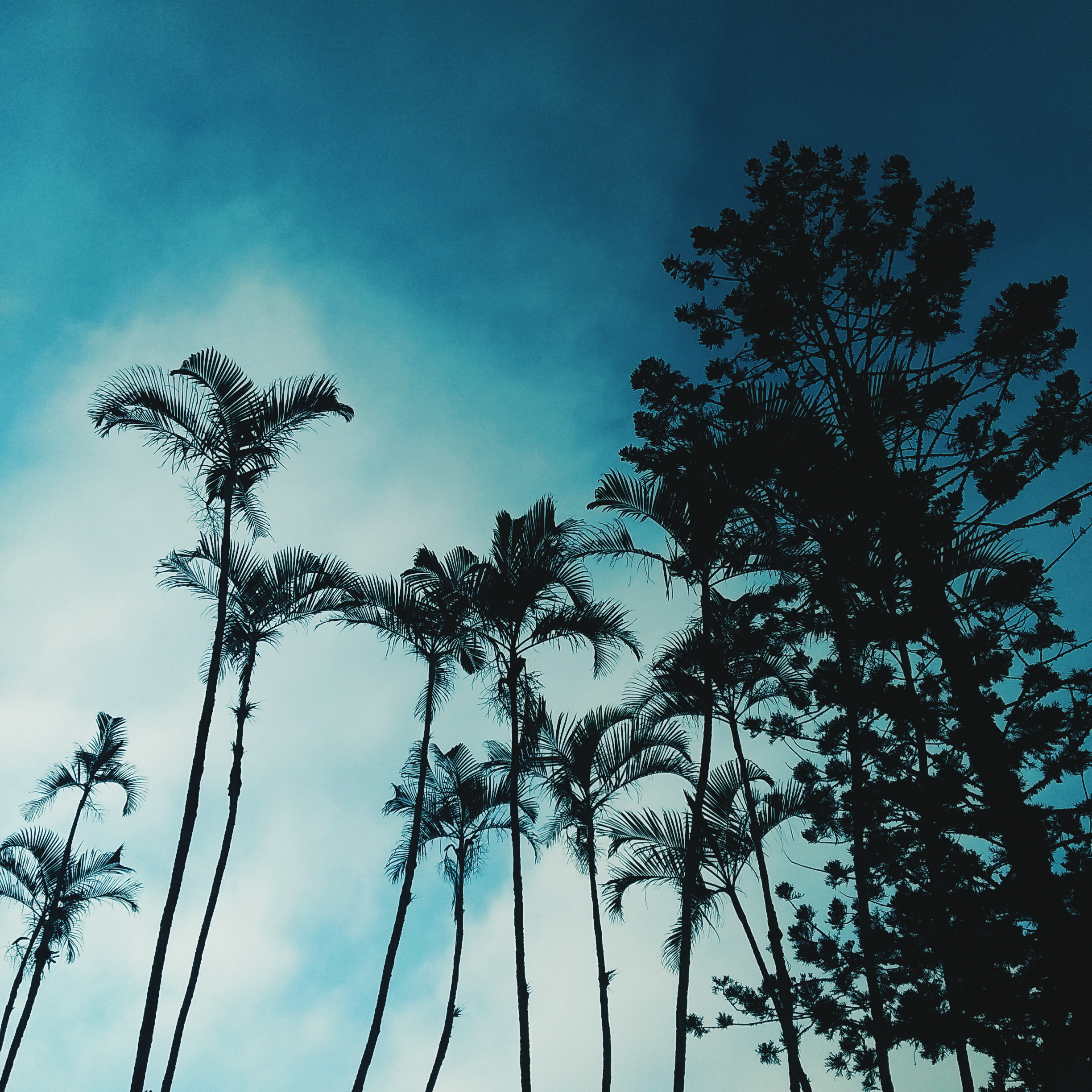 Sky View VI