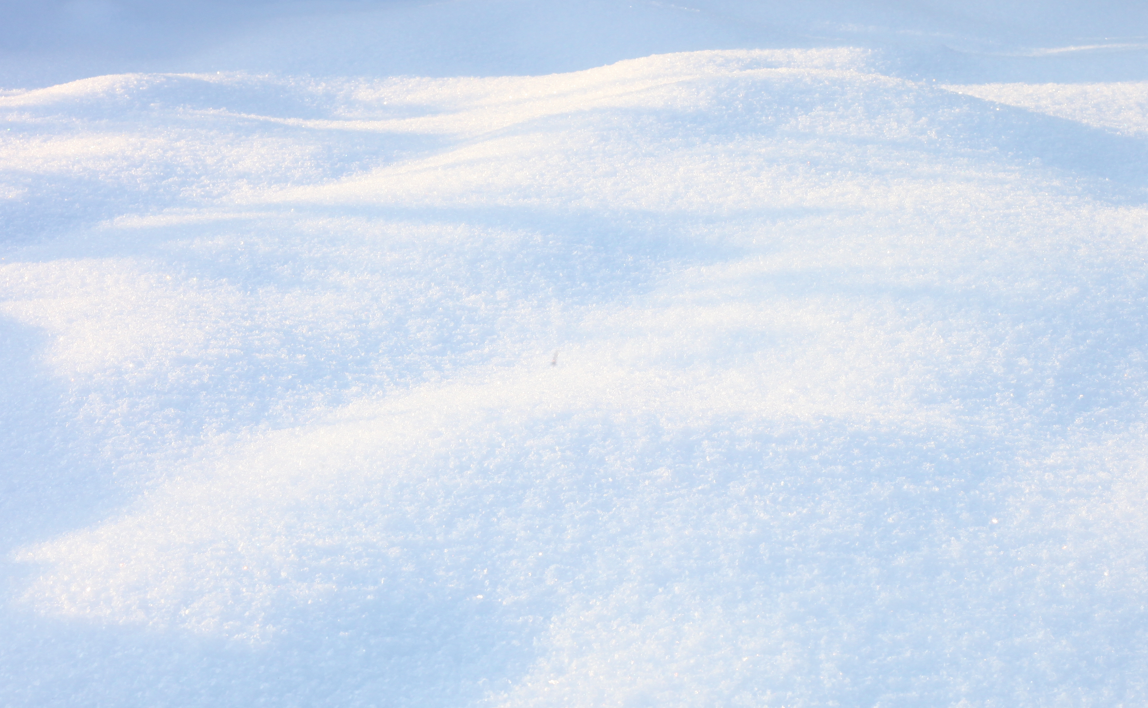 God's creation: snowy landscape, December 2012, picture 2