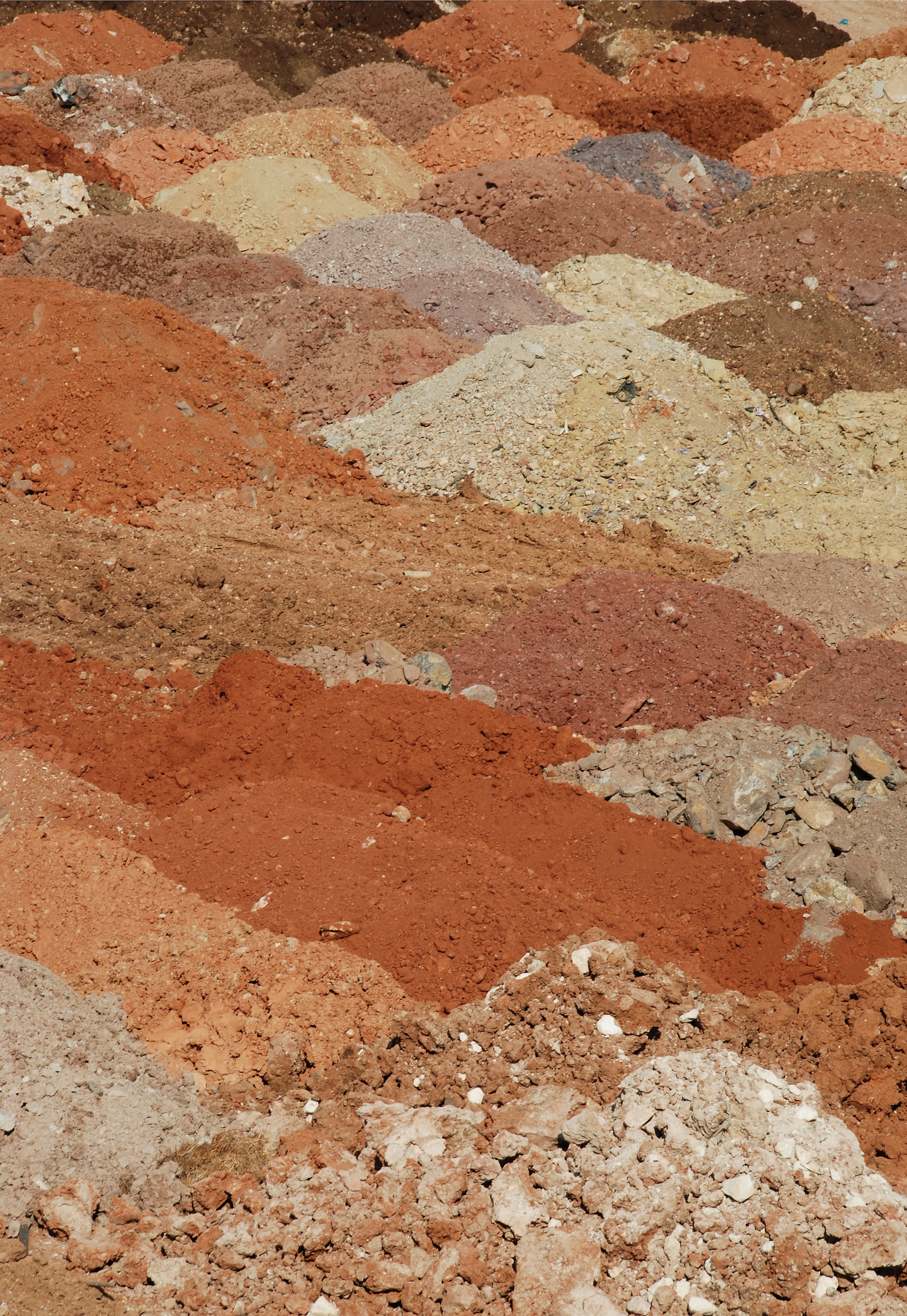 Soil July 2010-1