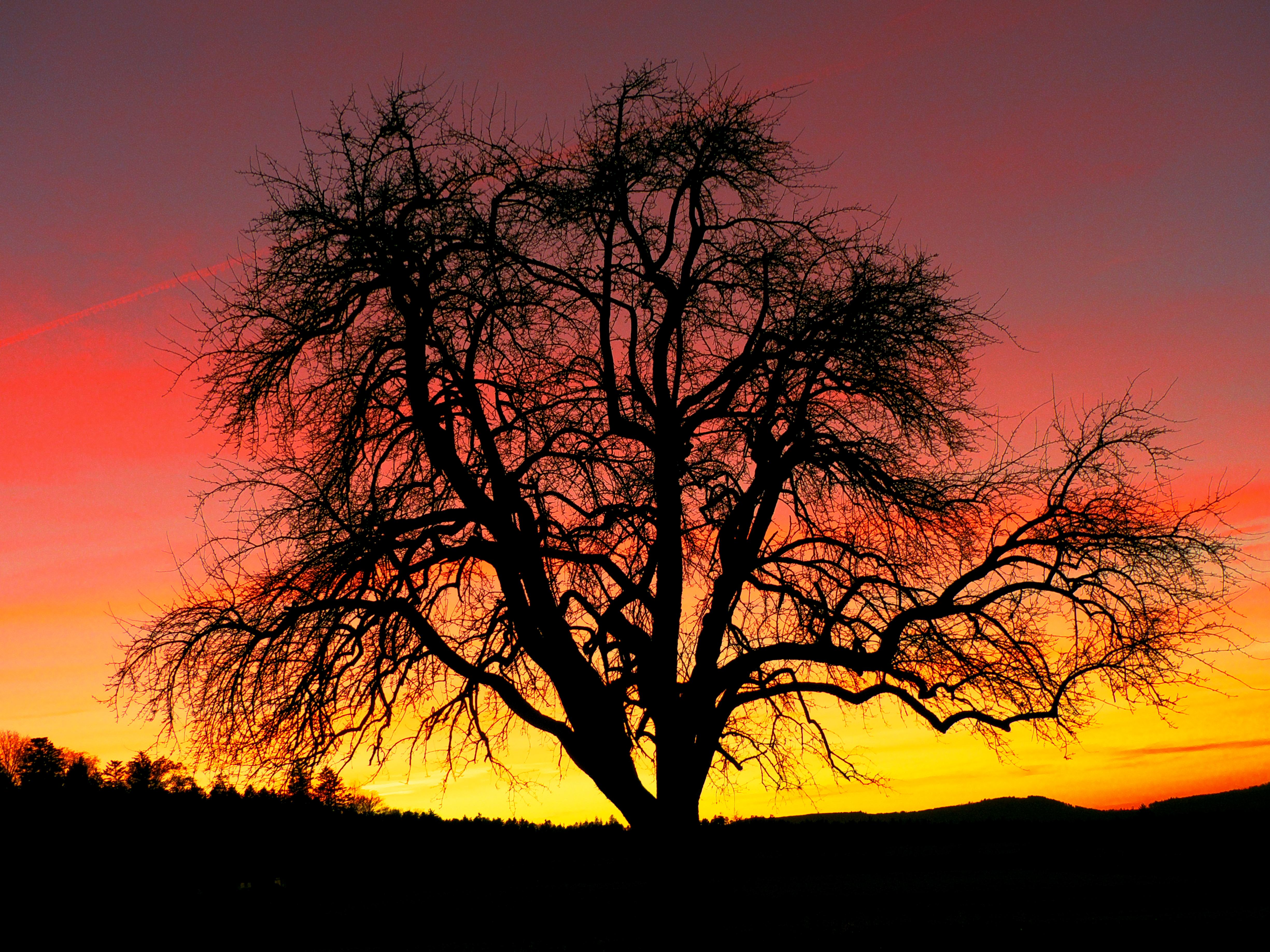 Sonnenuntergang bei der Schwanner Warte
