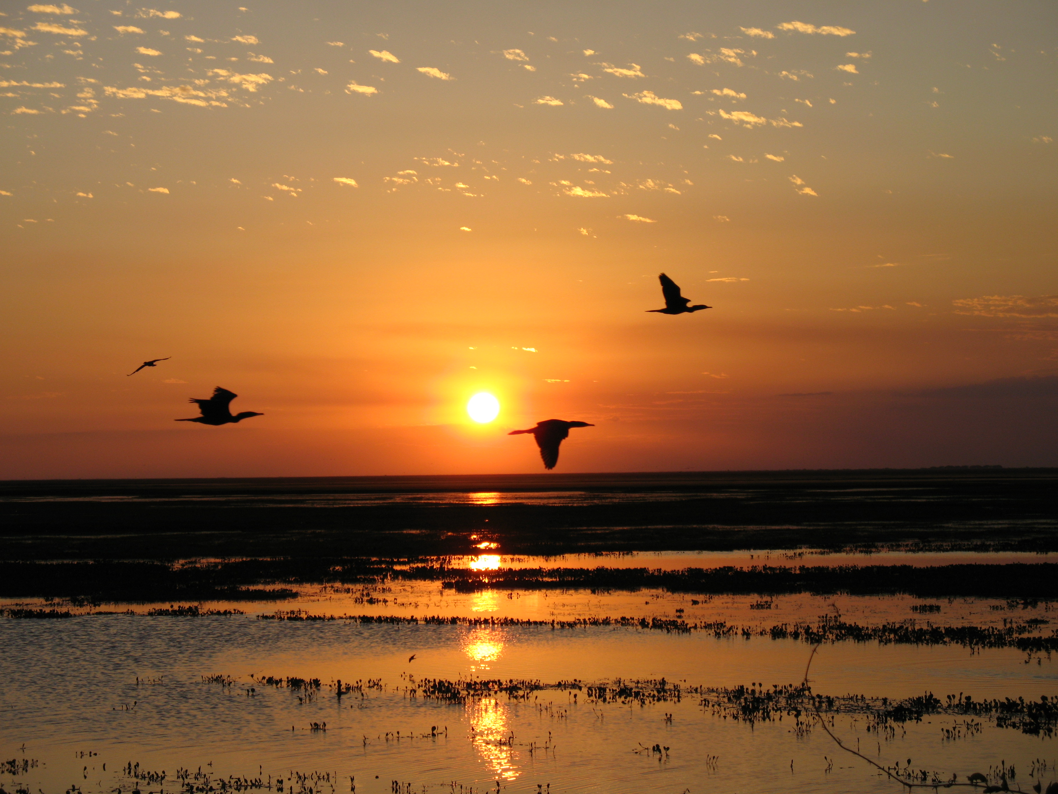 Sonnenuntergang Llanos-Ebene
