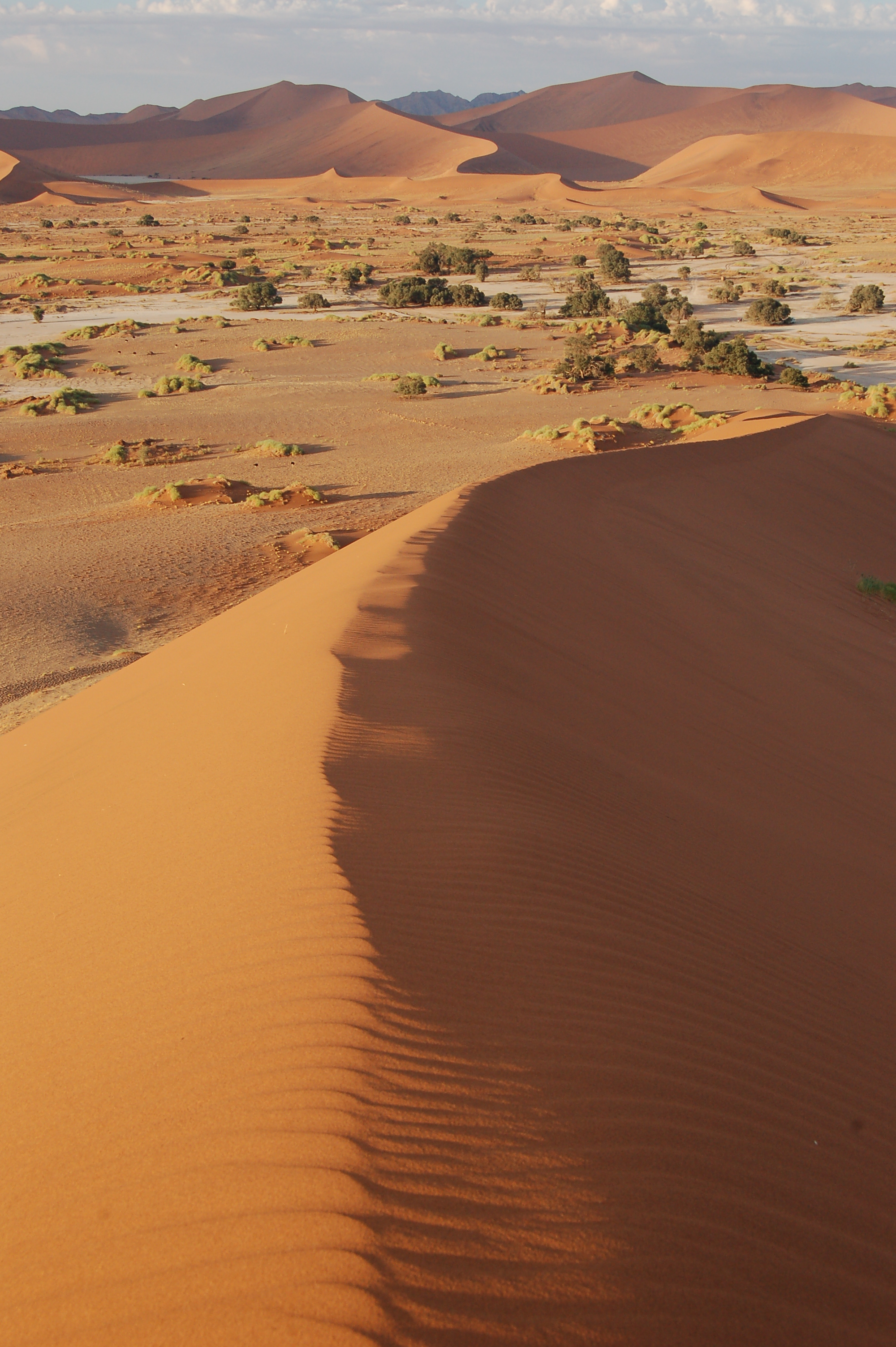 Sossusvlei, Namibia (3138437718)