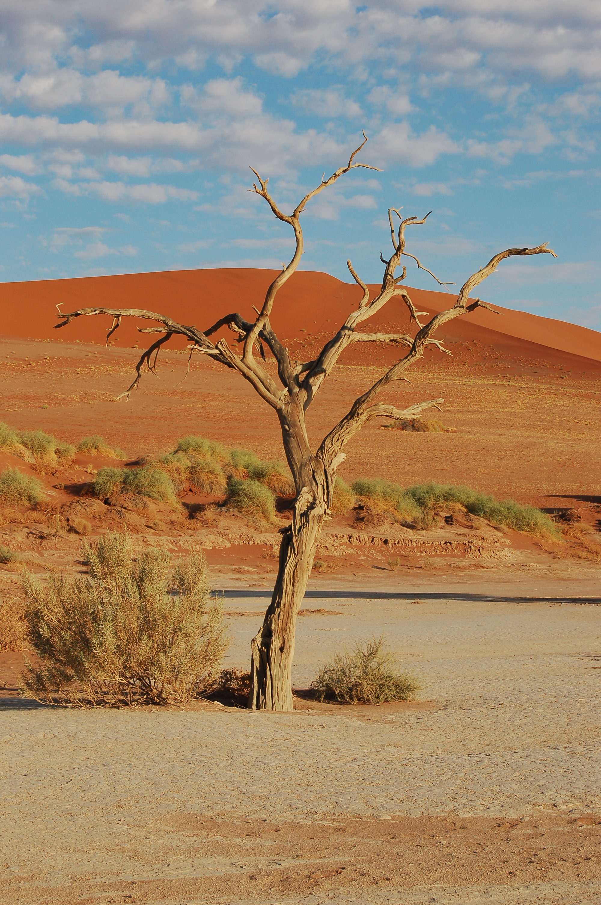 Sossusvlei, Namibia (3138454232)