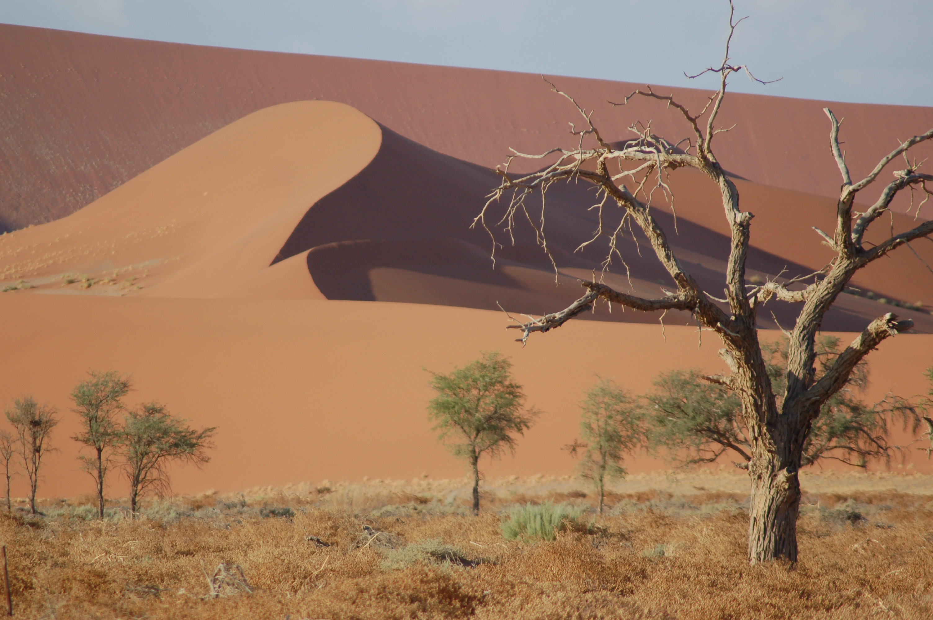 Sossusvlei, Namibia (3138478668)