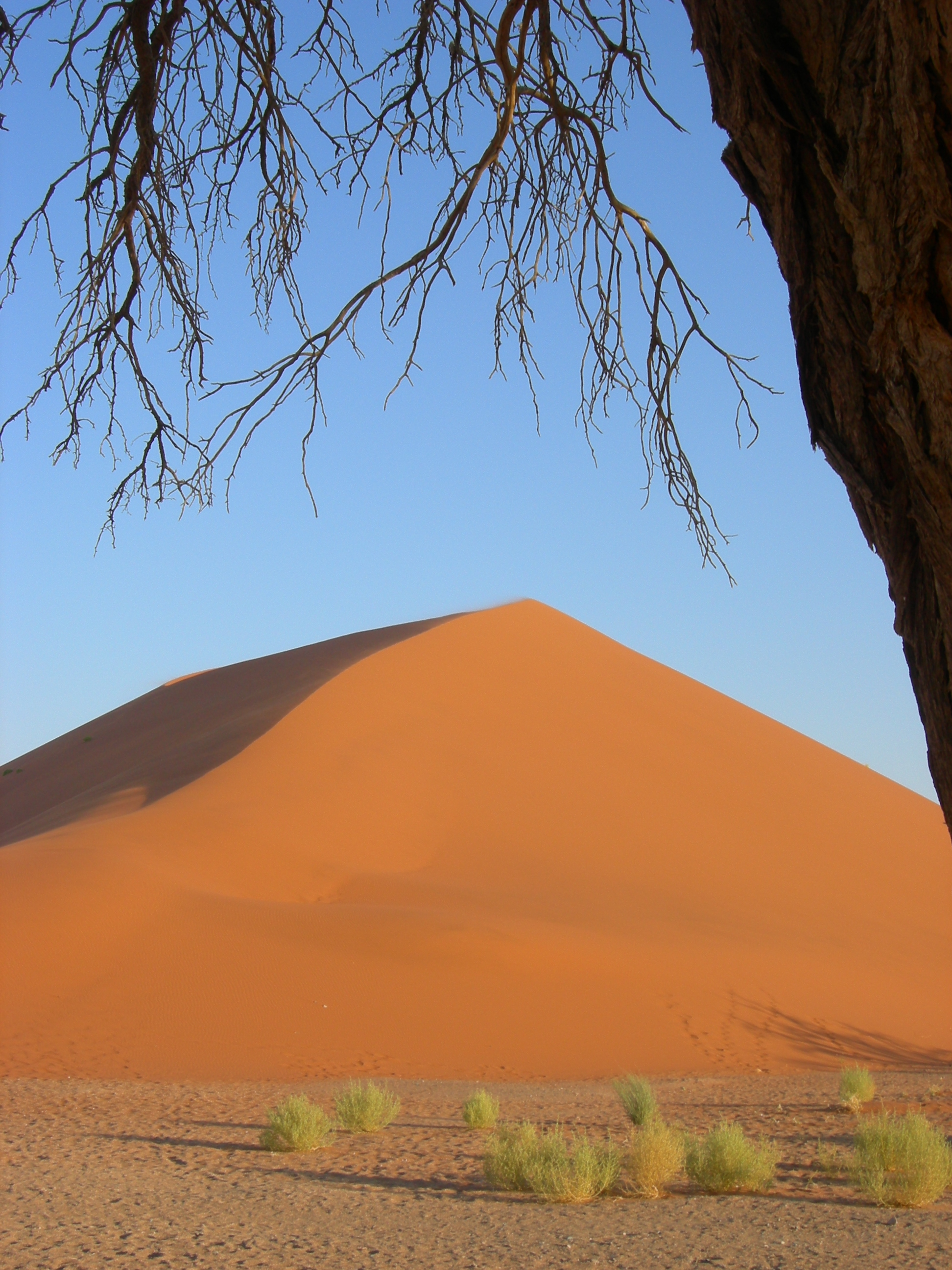 Sossusvlei, Namibia (3138539548)