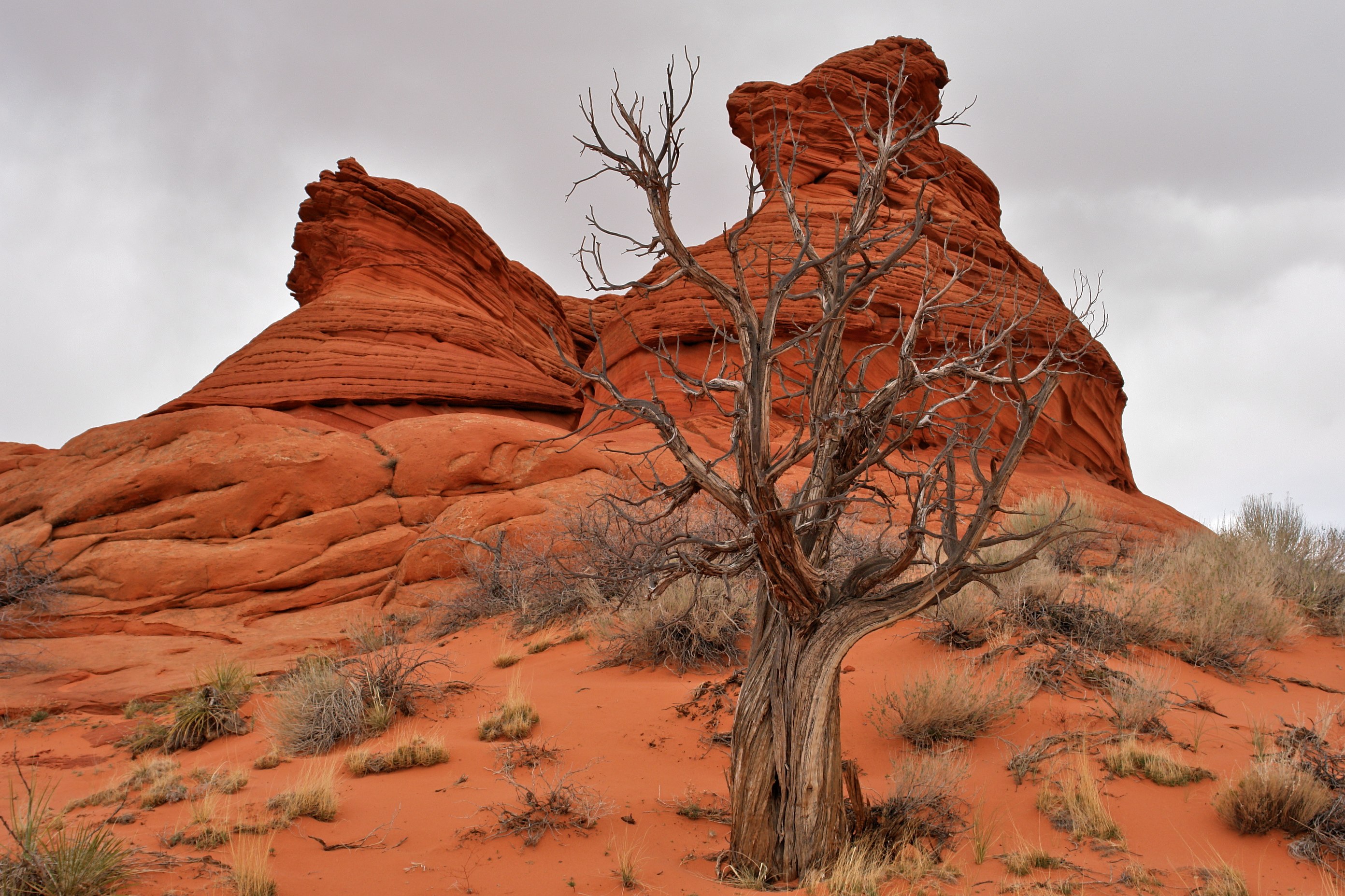 South Coyote Buttes Paria Canyon Wilderness Area (3448800585)