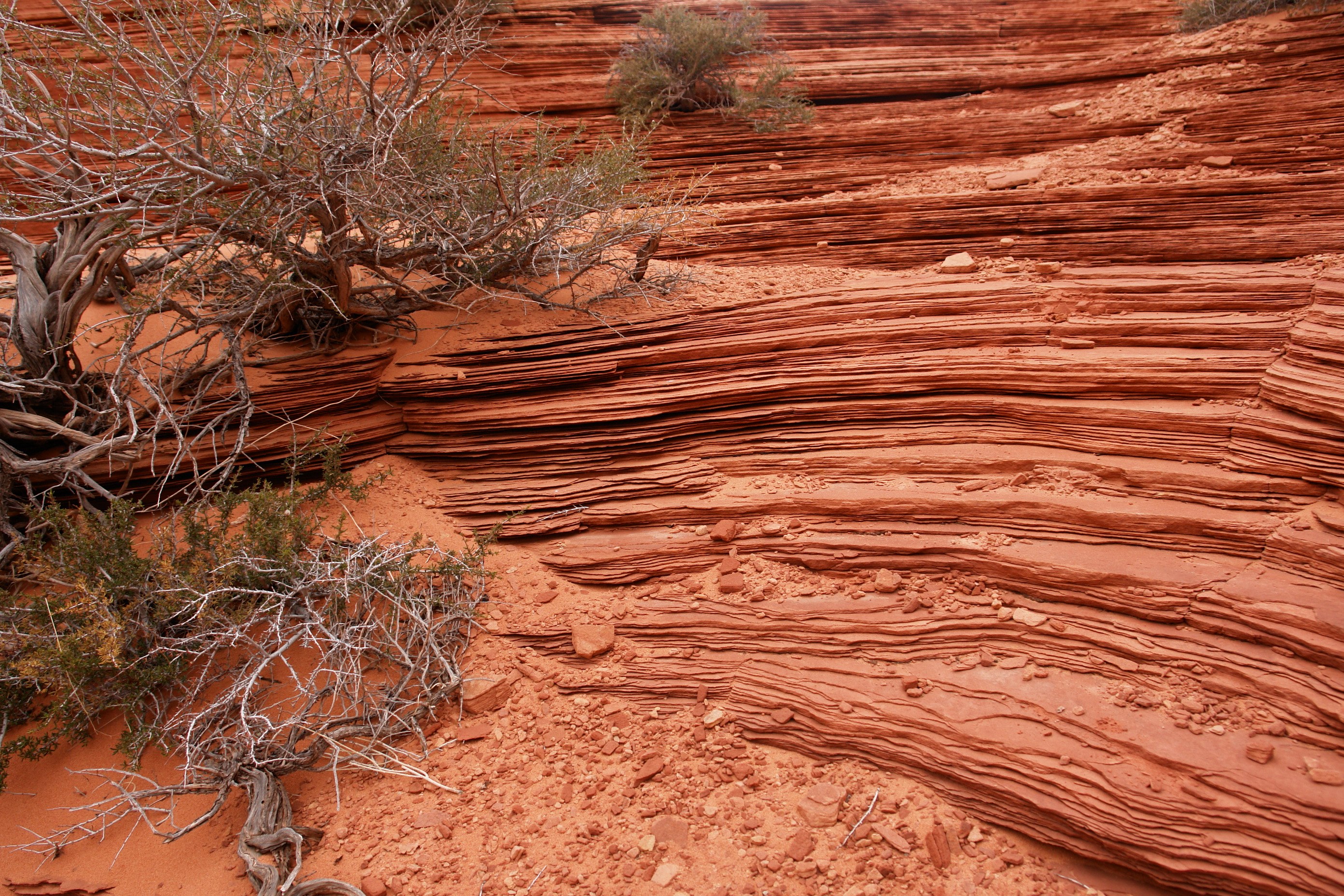 South Coyote Buttes Paria Canyon Wilderness Area (3448805345)