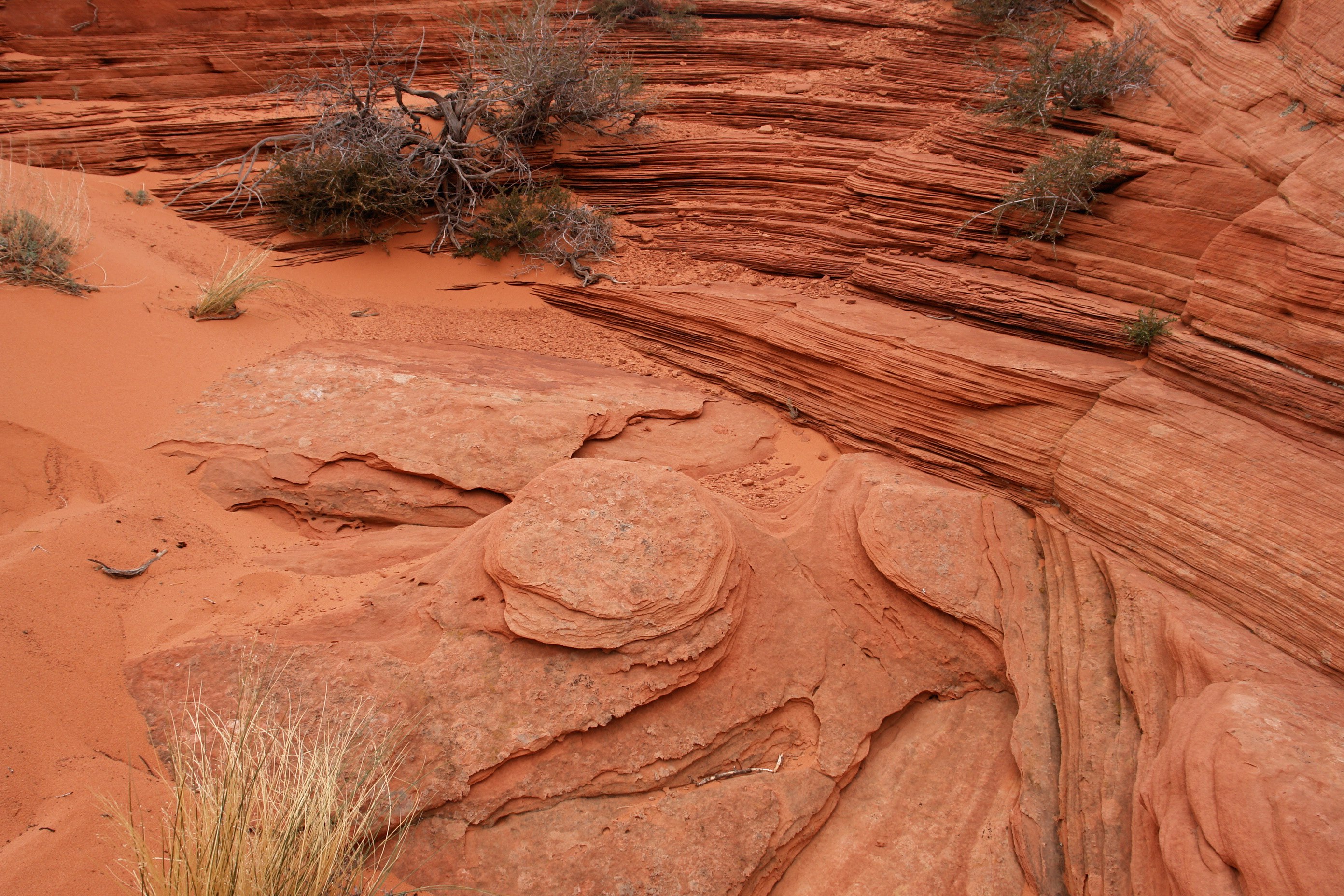 South Coyote Buttes Paria Canyon Wilderness Area (3449618328)