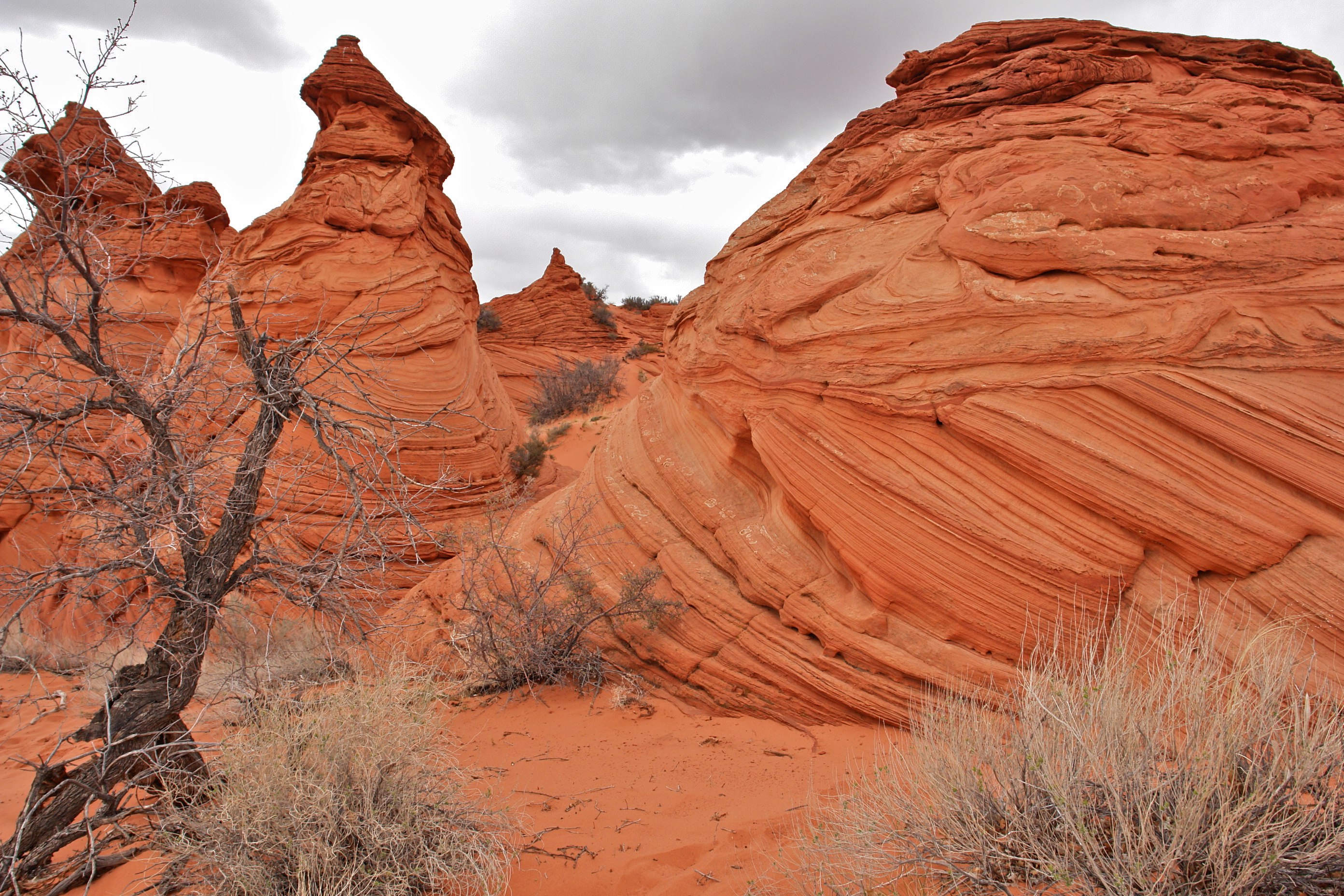 South Coyote Buttes Paria Canyon Wilderness Area (3449623608)