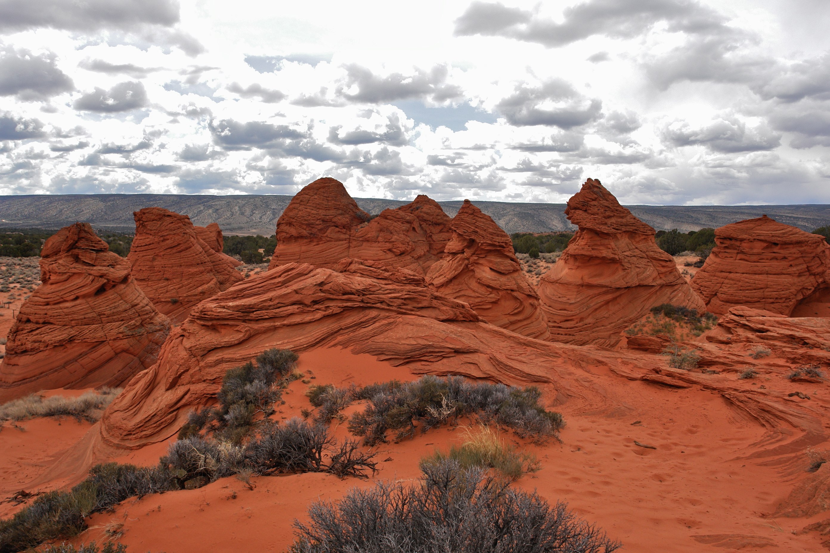 South Coyote Buttes Paria Canyon Wilderness Area (3449624002)