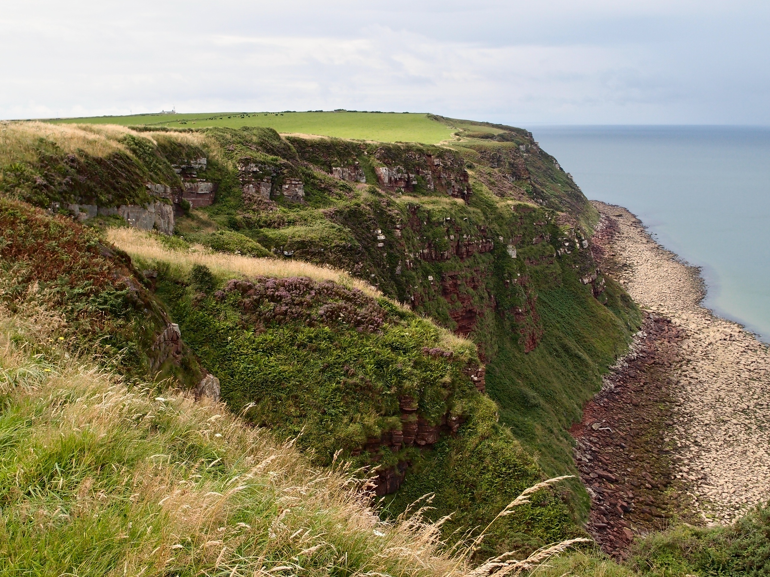 StBeesHead