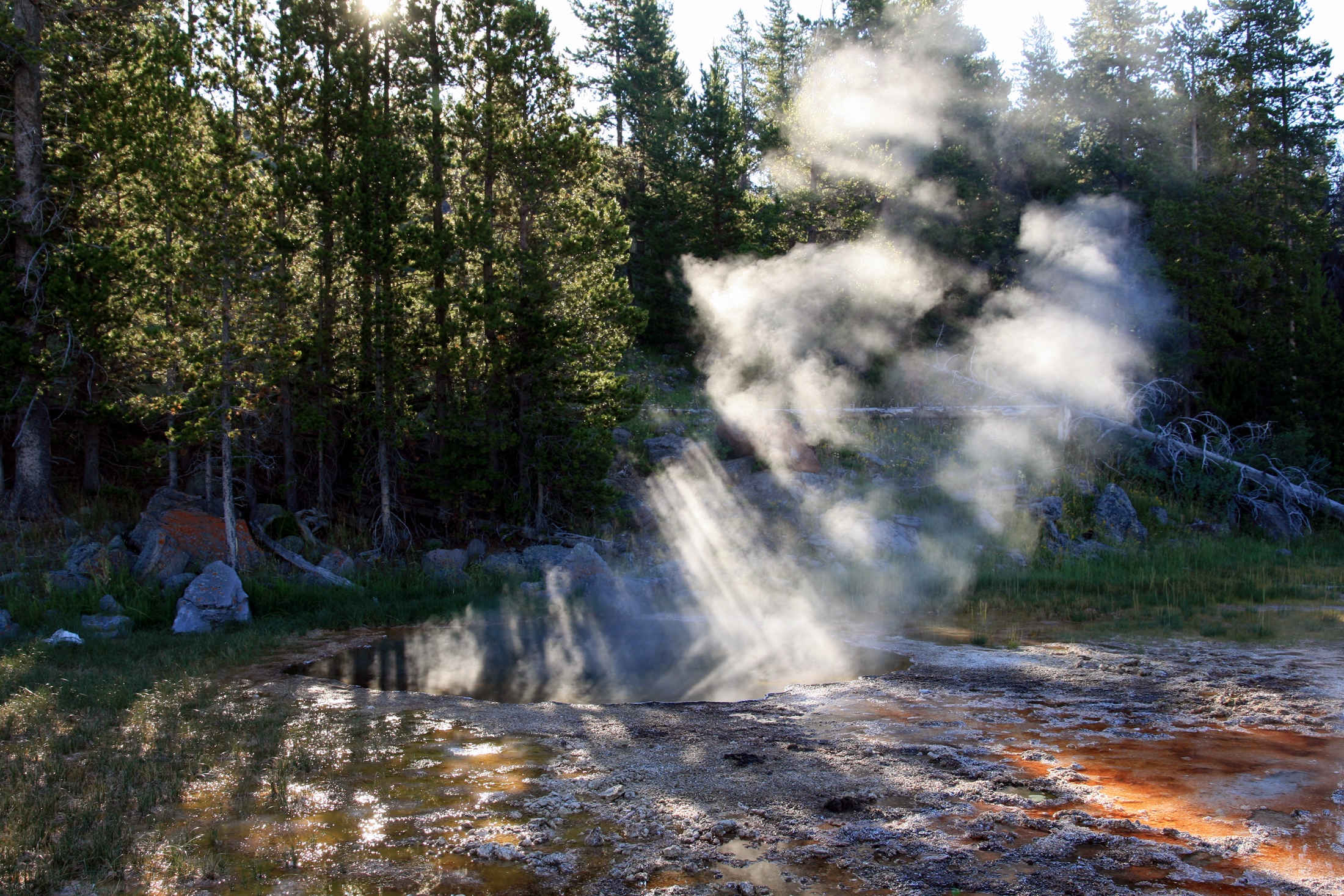 Strahlenbüschel bei Thermalquelle im Yellowstone-Nationalpark