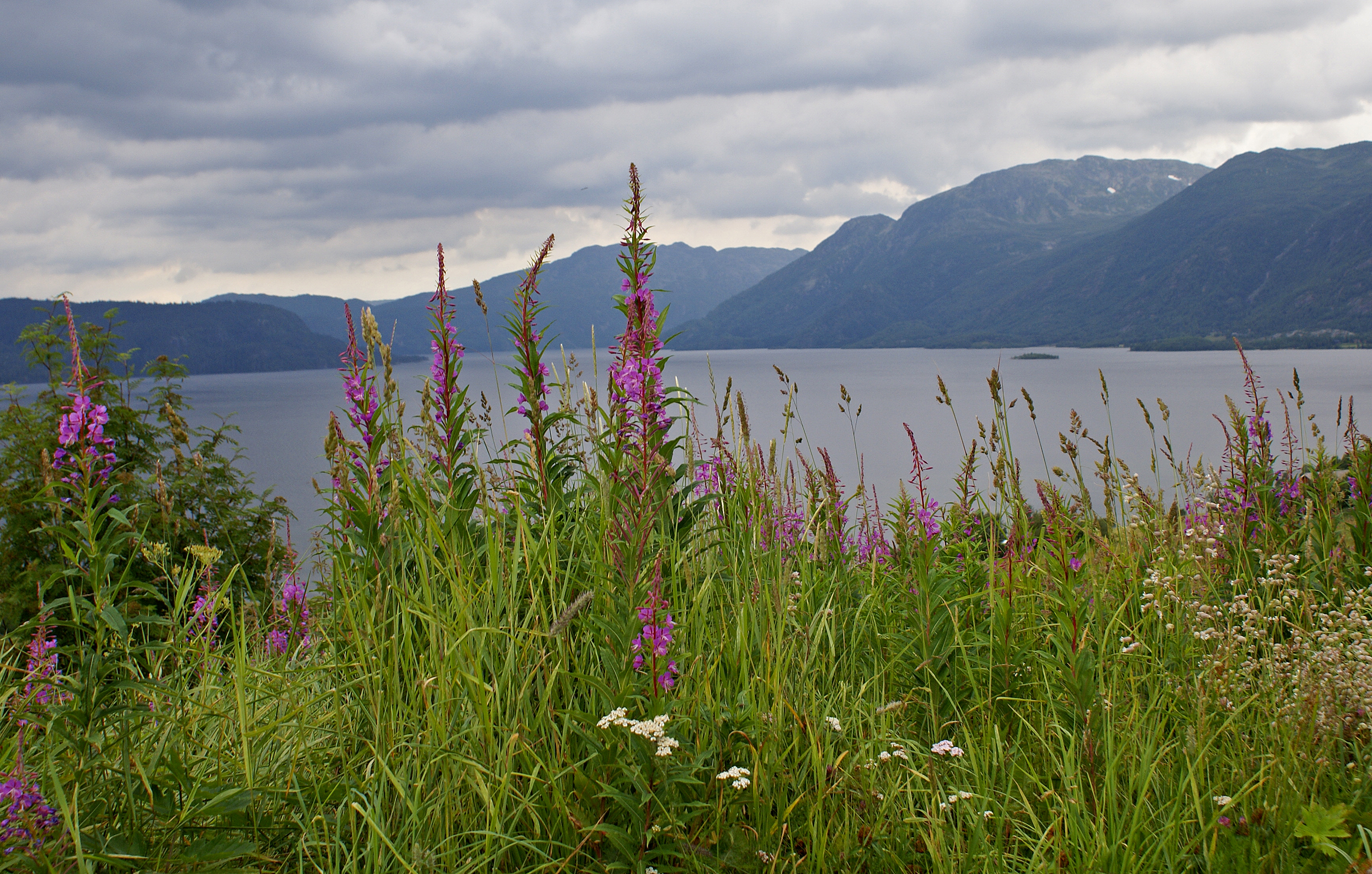 Summer landscape - Telemark (3819888357)