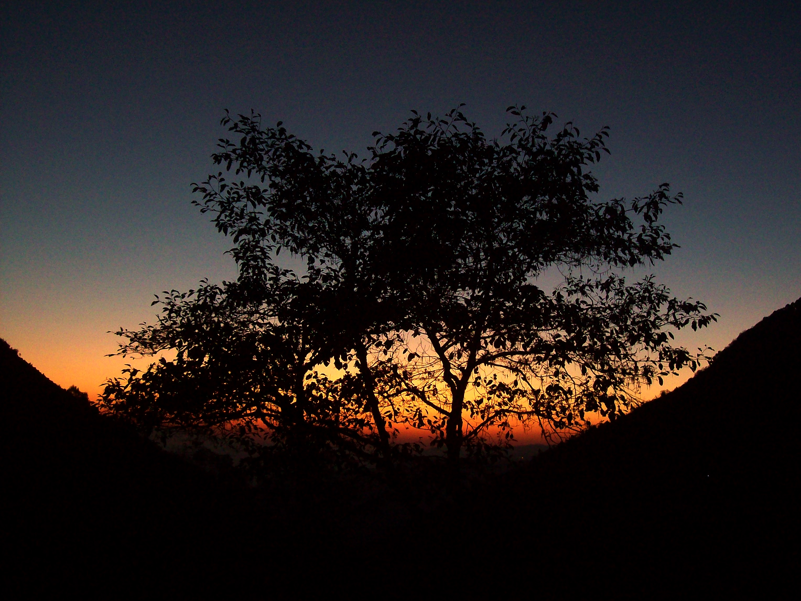 SUN RISE 3