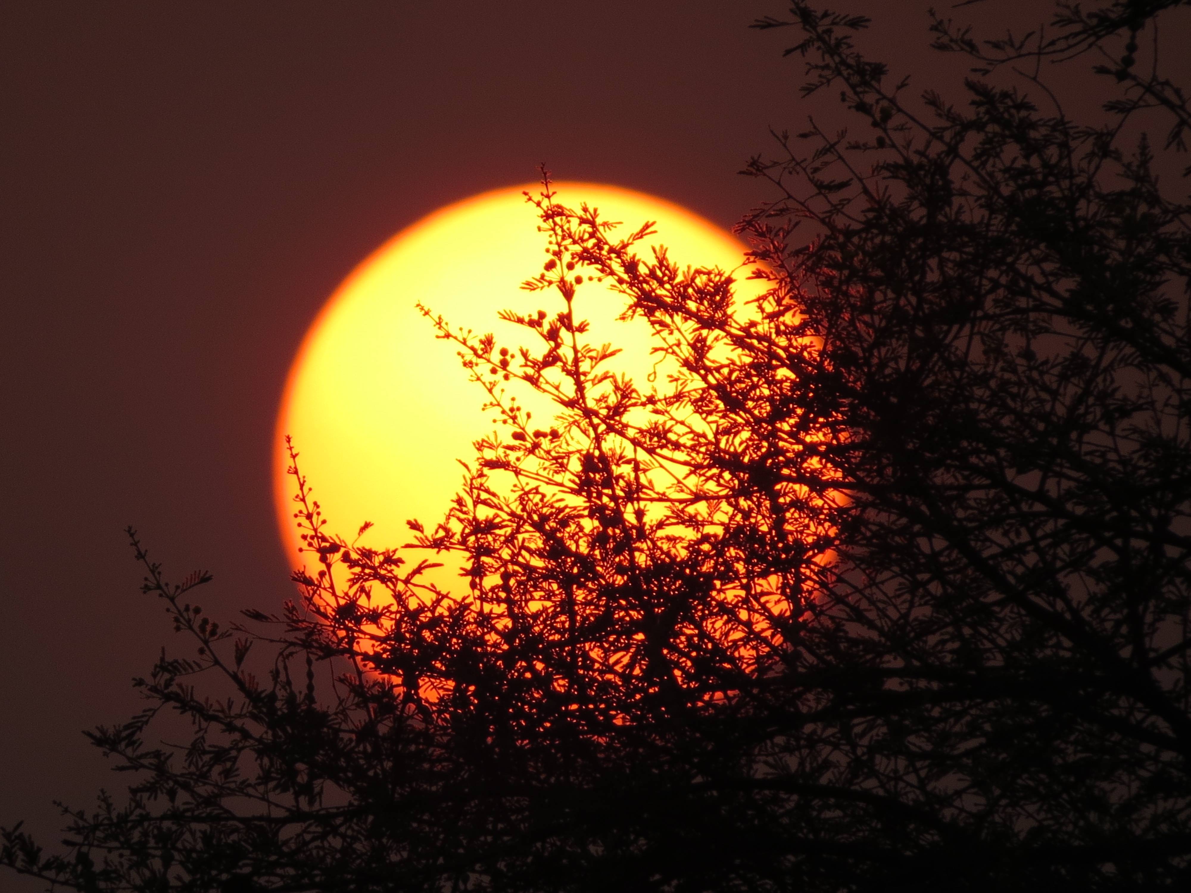 Sunball