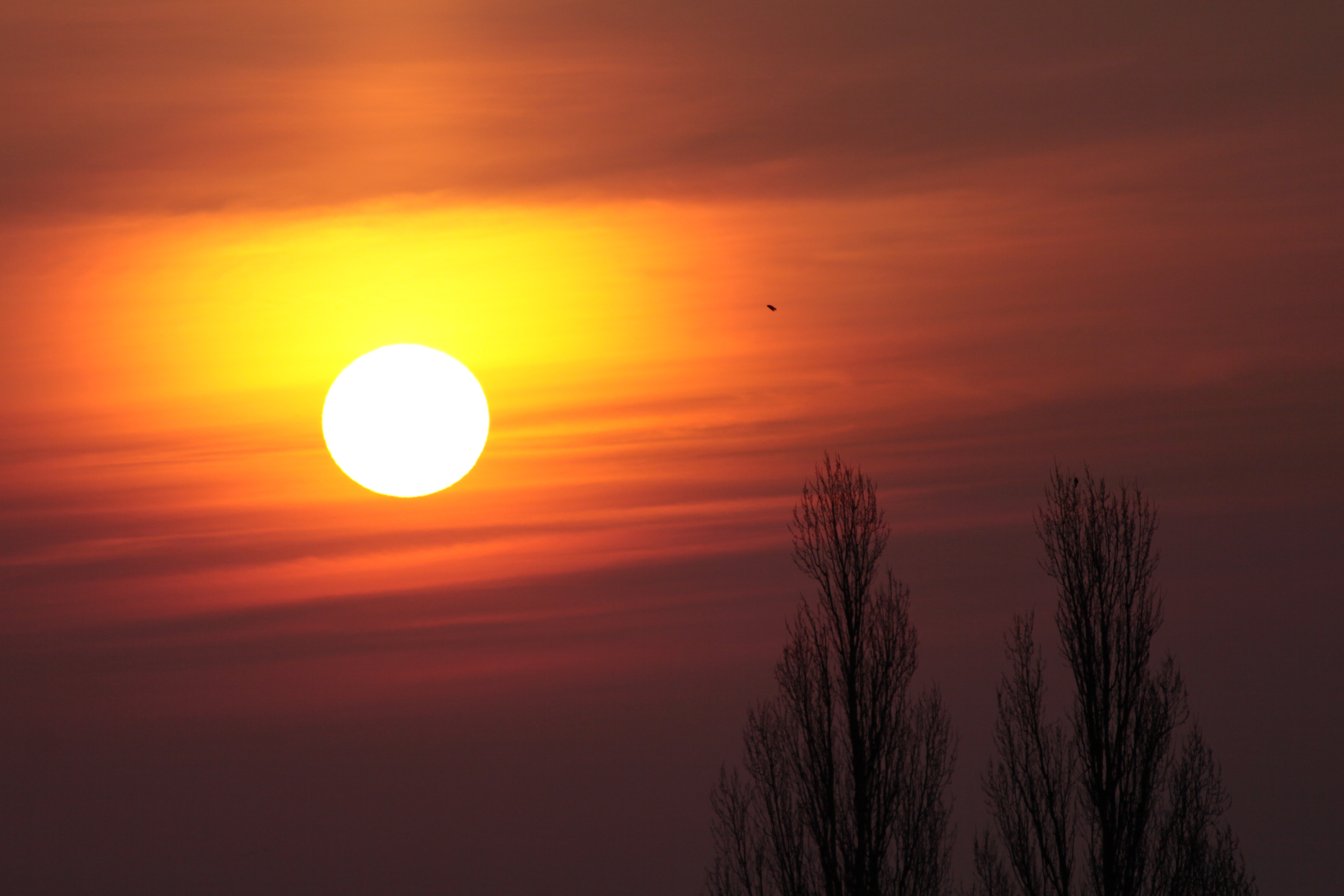 Sunrise - 2009-03-31 (3401030380)