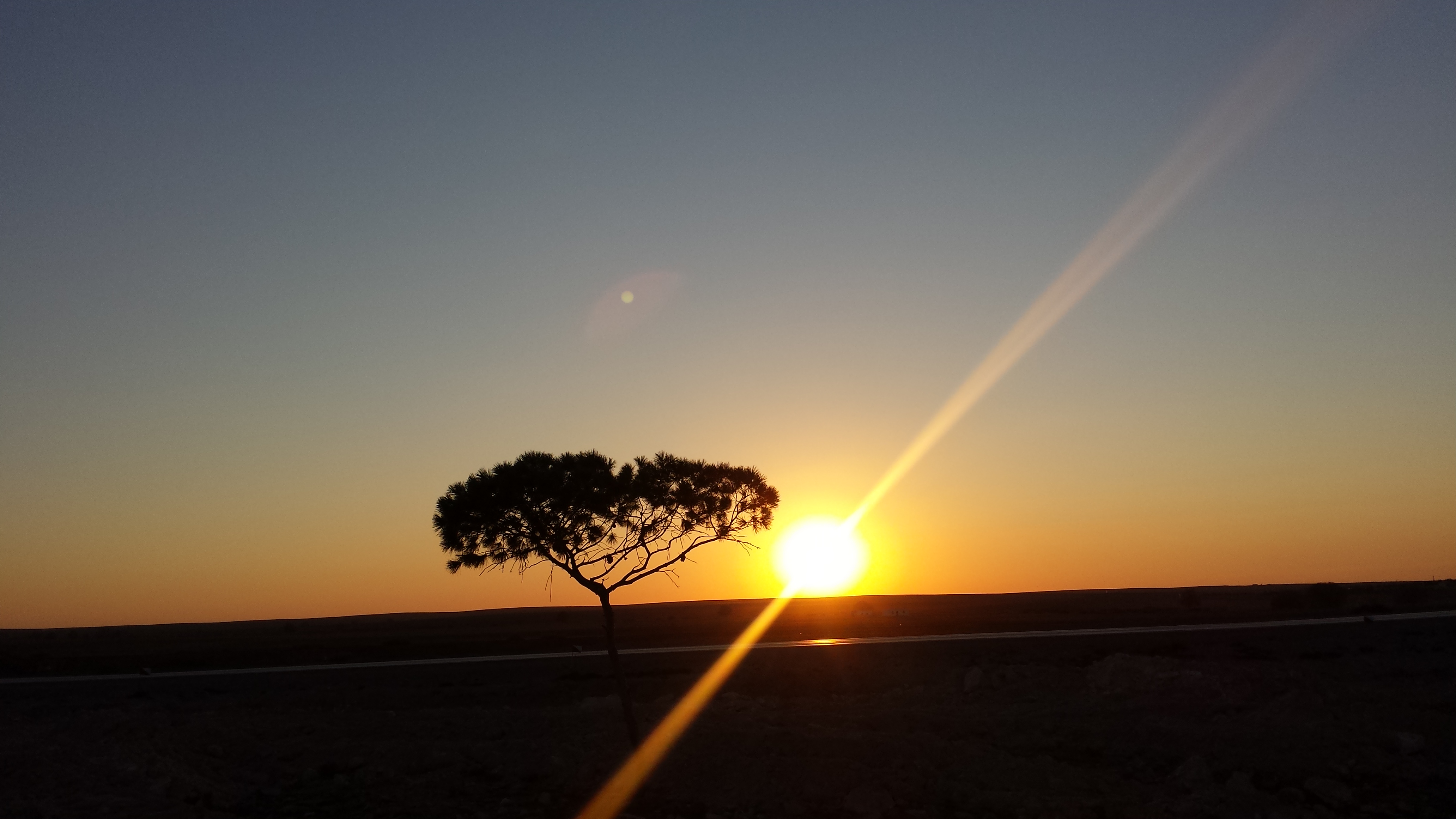 Sunrise 15121990