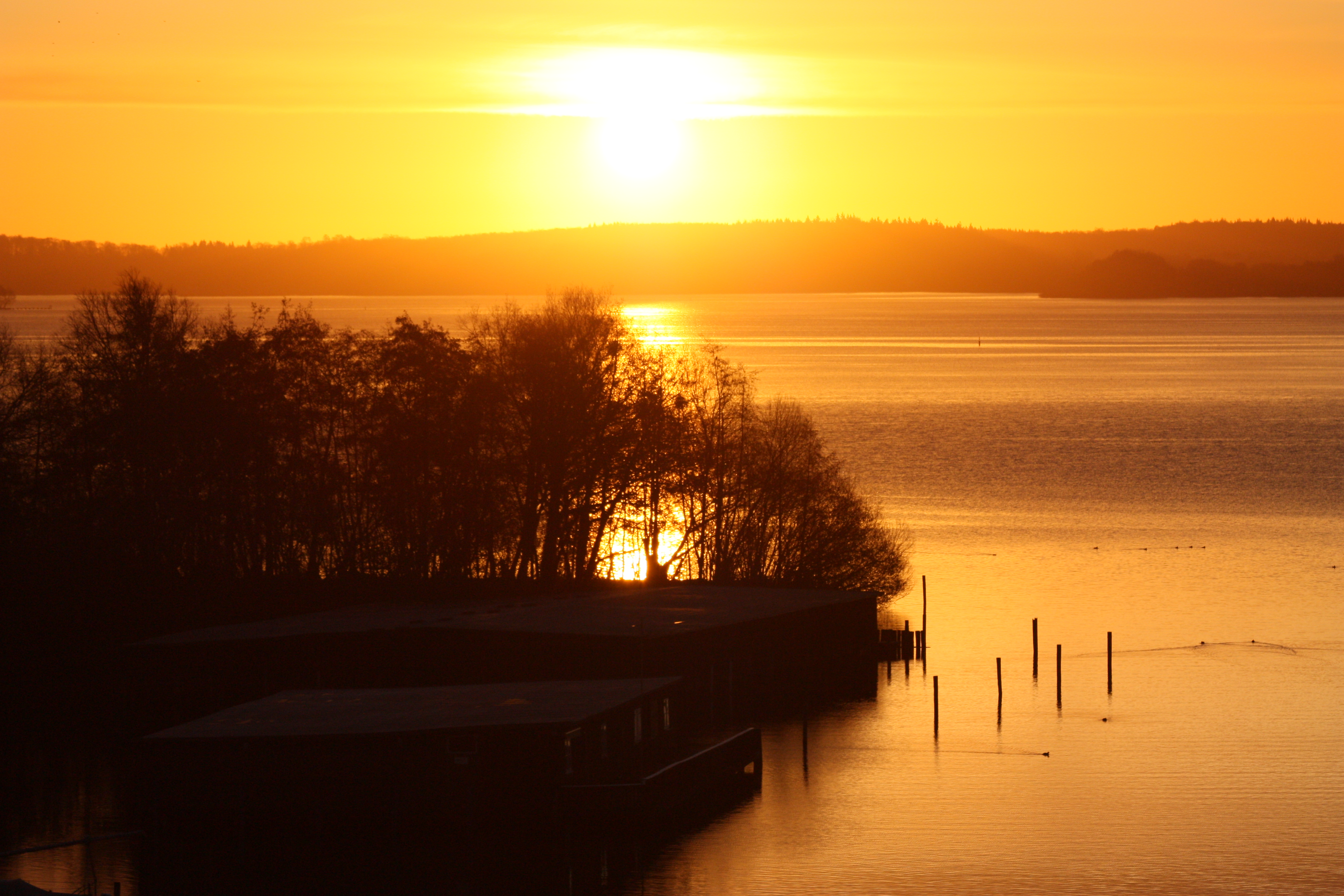 Sunrise 2008-11-17 (3037811456)
