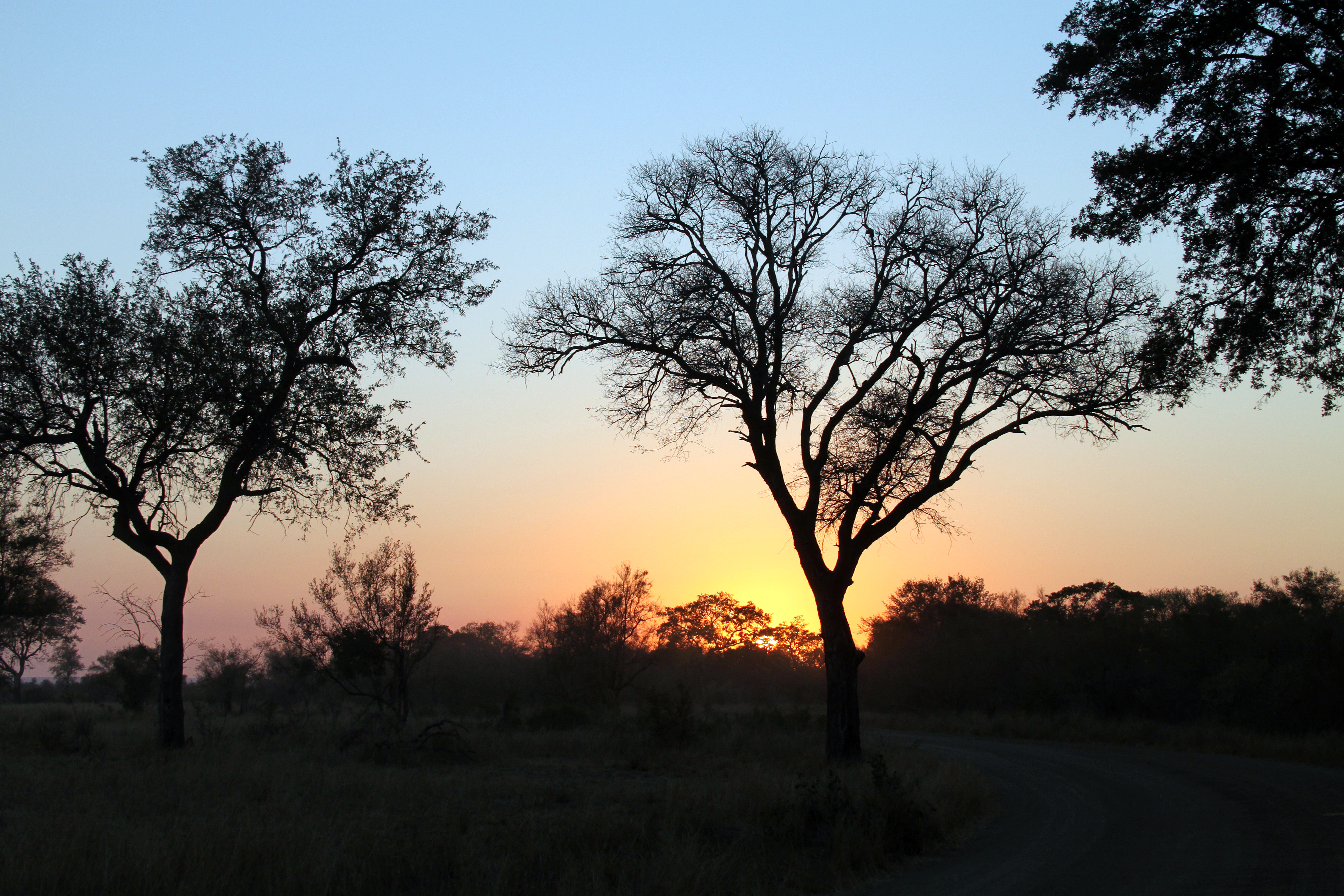 Sunrise, Kruger National Park (7826731494)