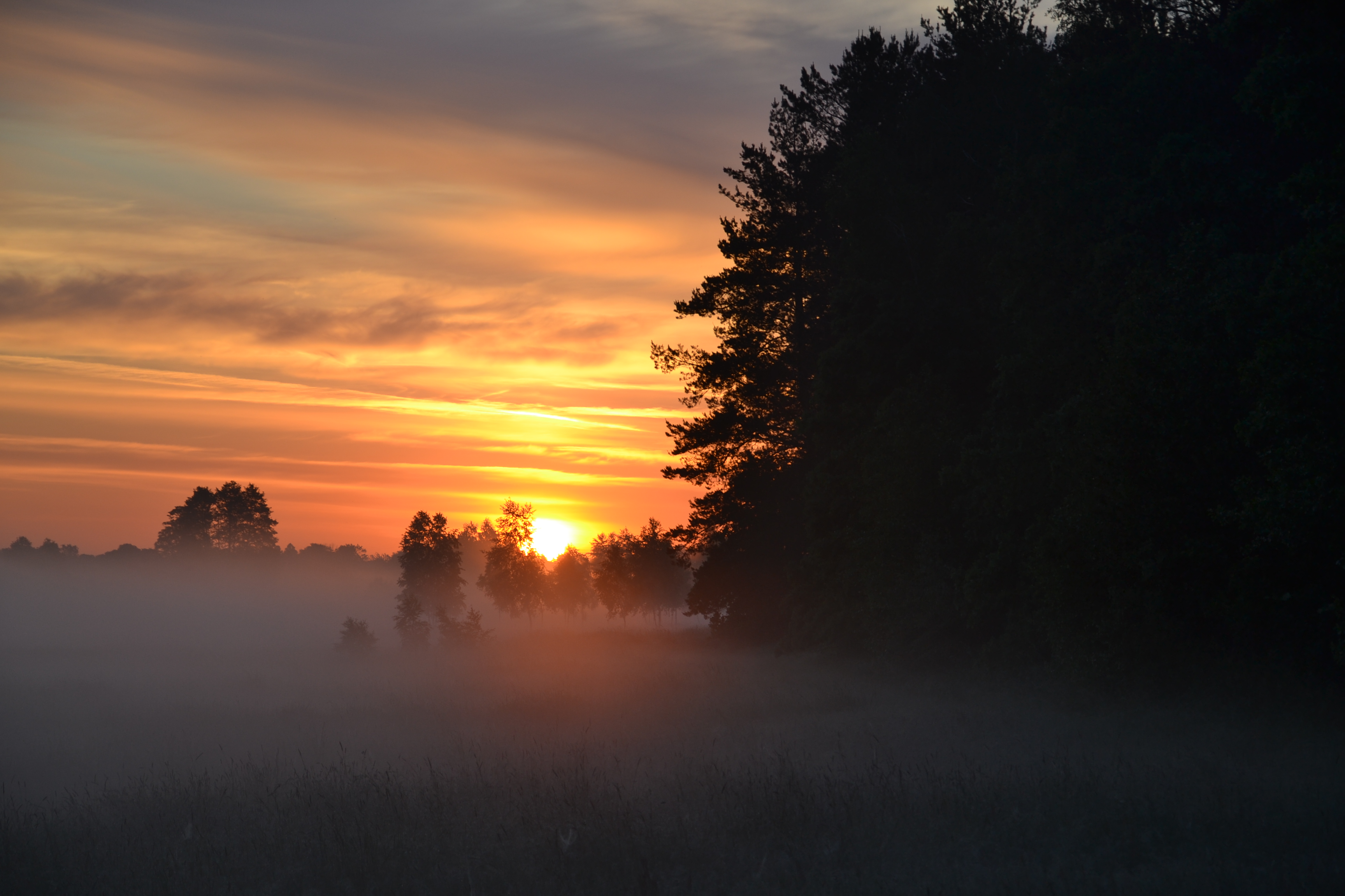Sunrise near Krzna river, Poland