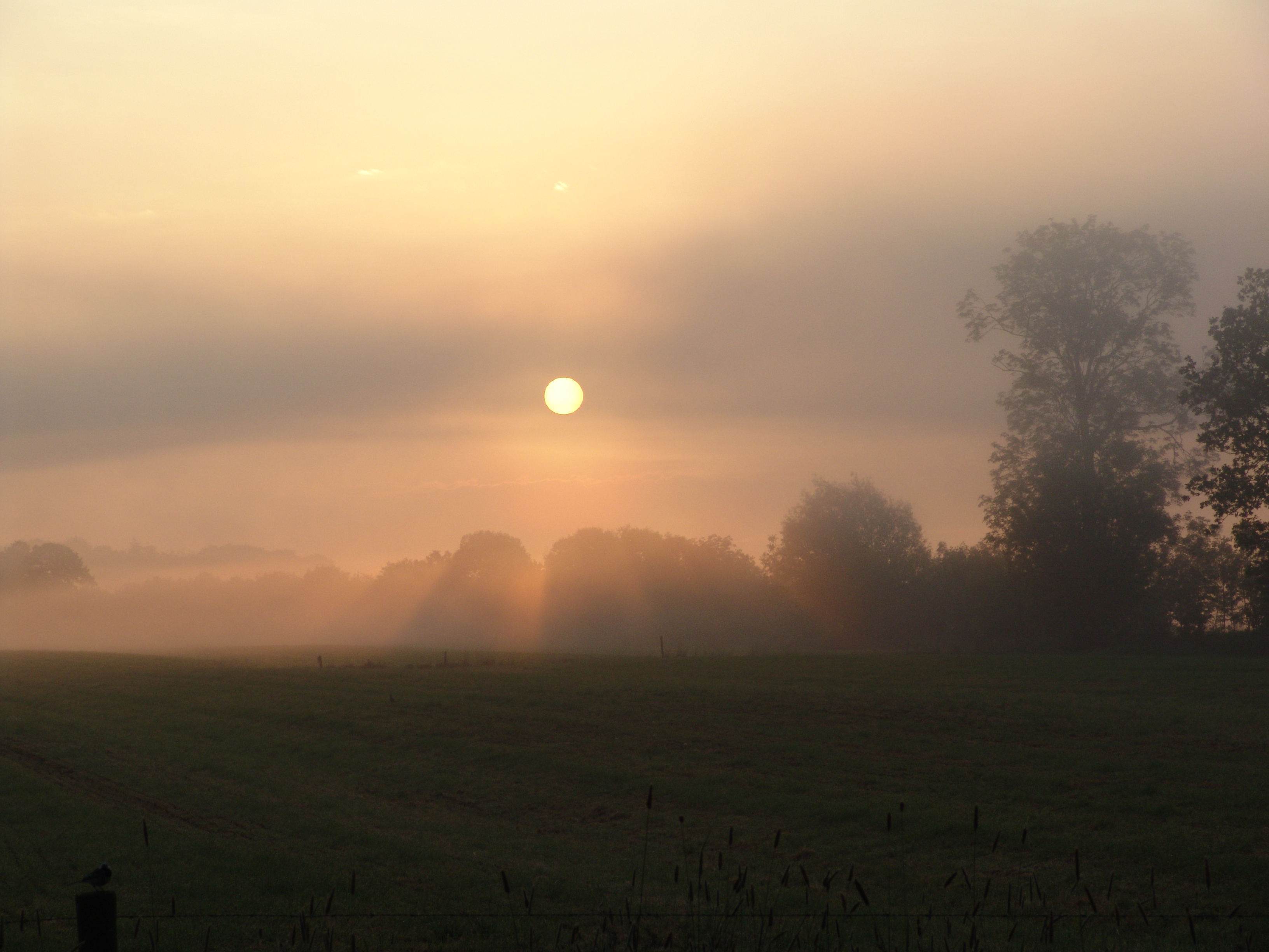 sunrise in the morning