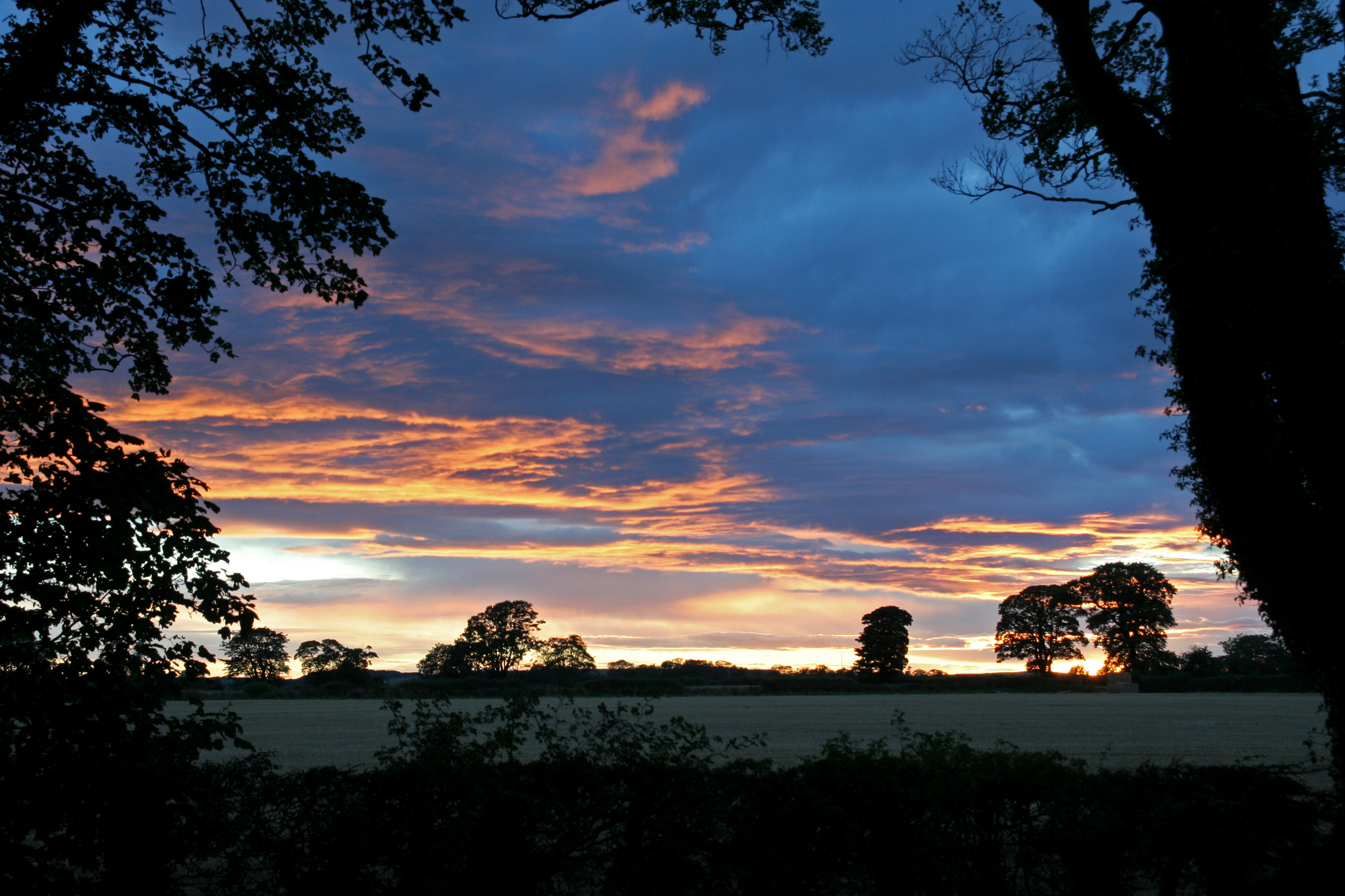 Sunset3 (1259288046)