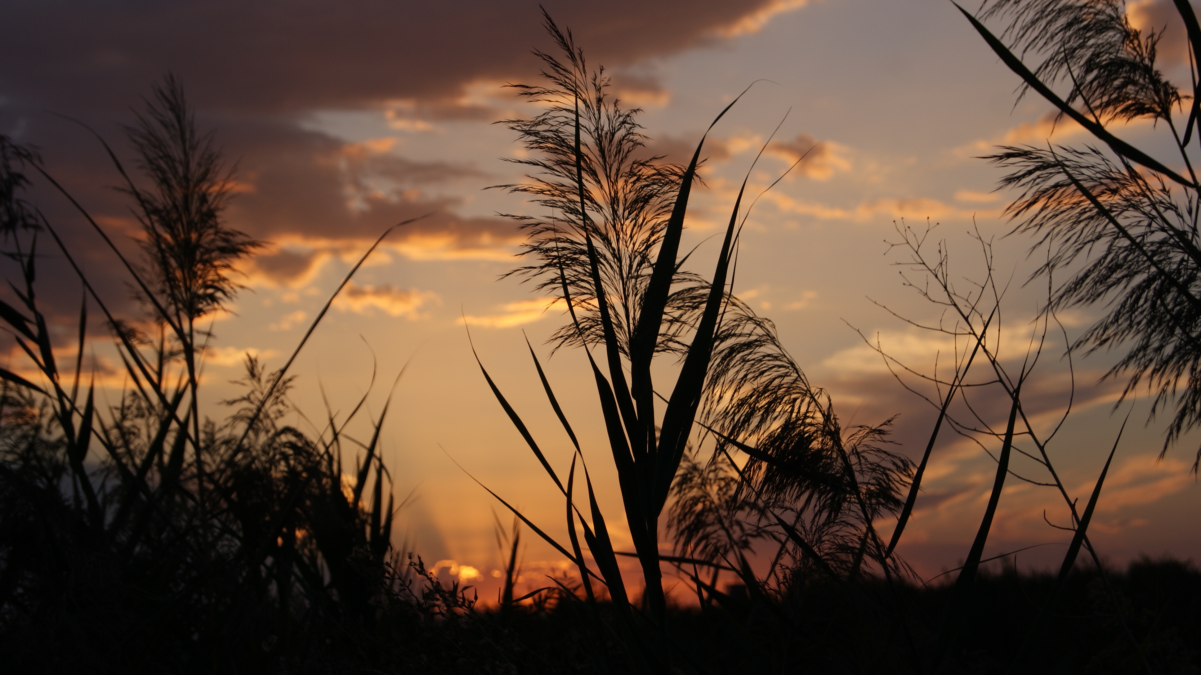Sunset, Ararat Valley (1)