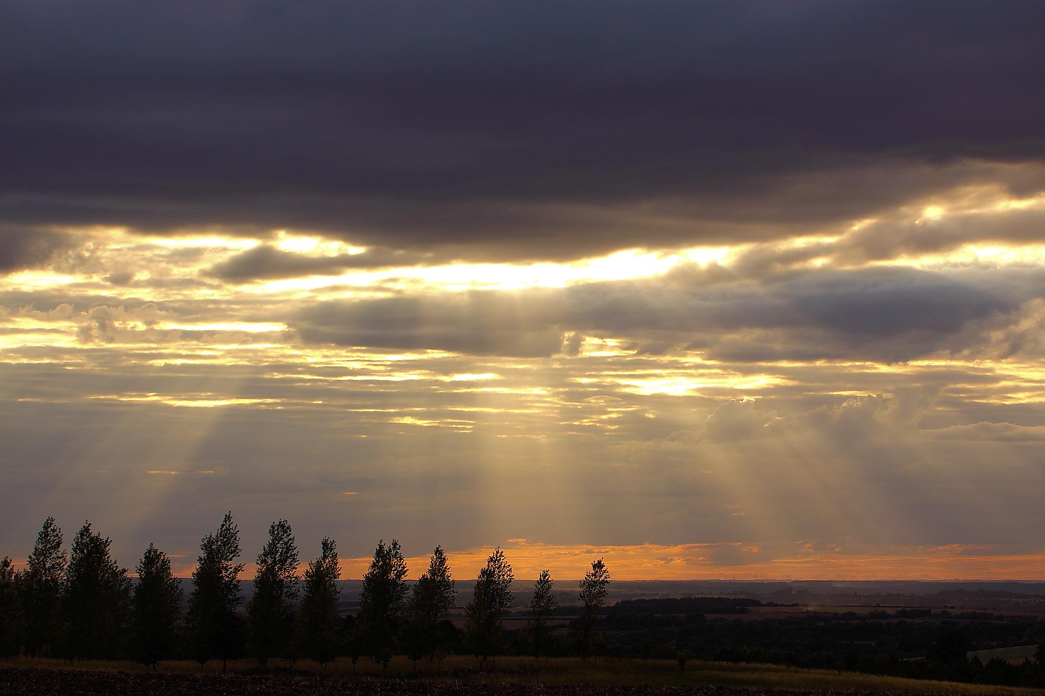 Sunset at Kelshall, Herts (6043306262)